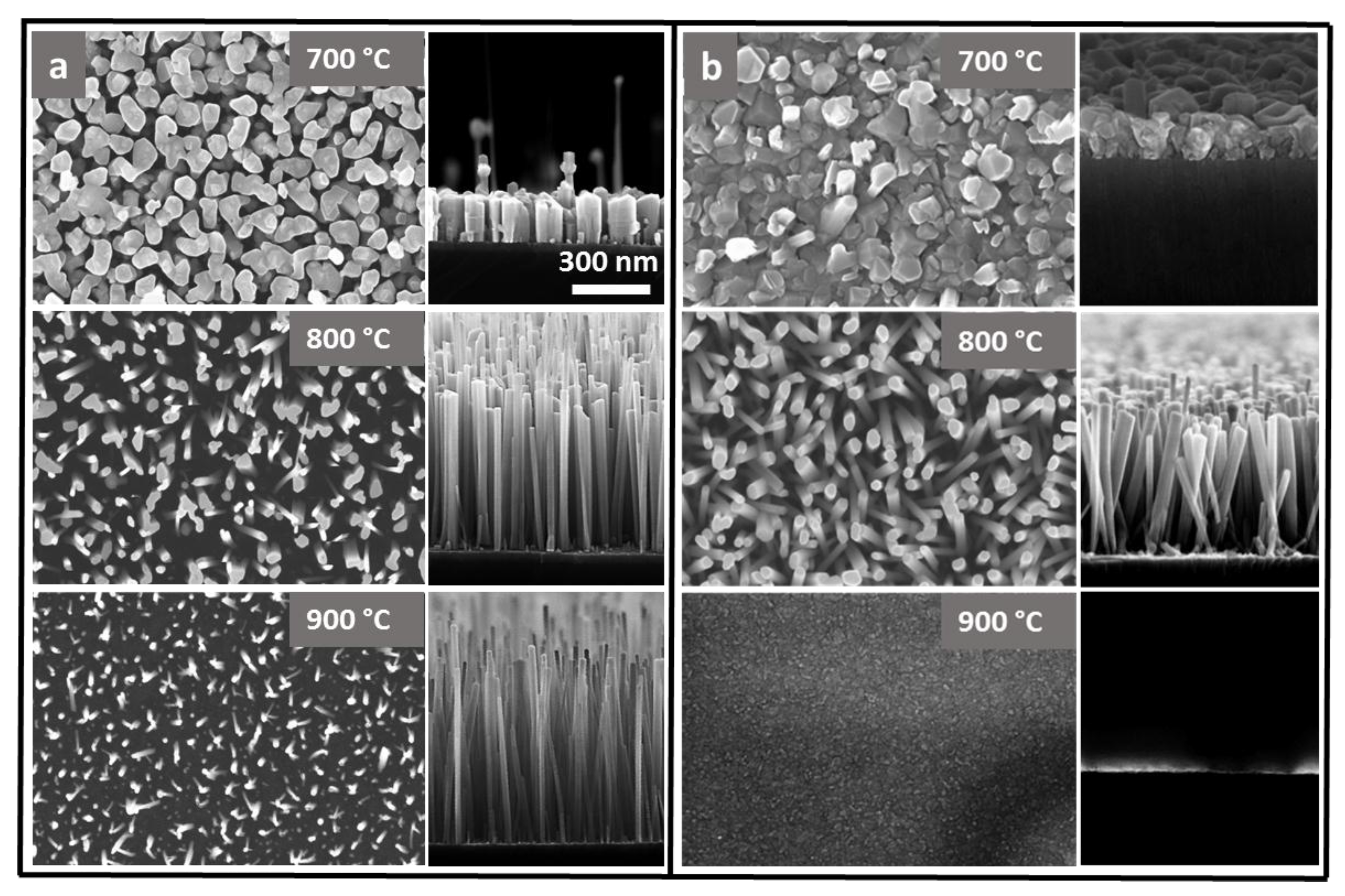 Energies 10 01322 g003