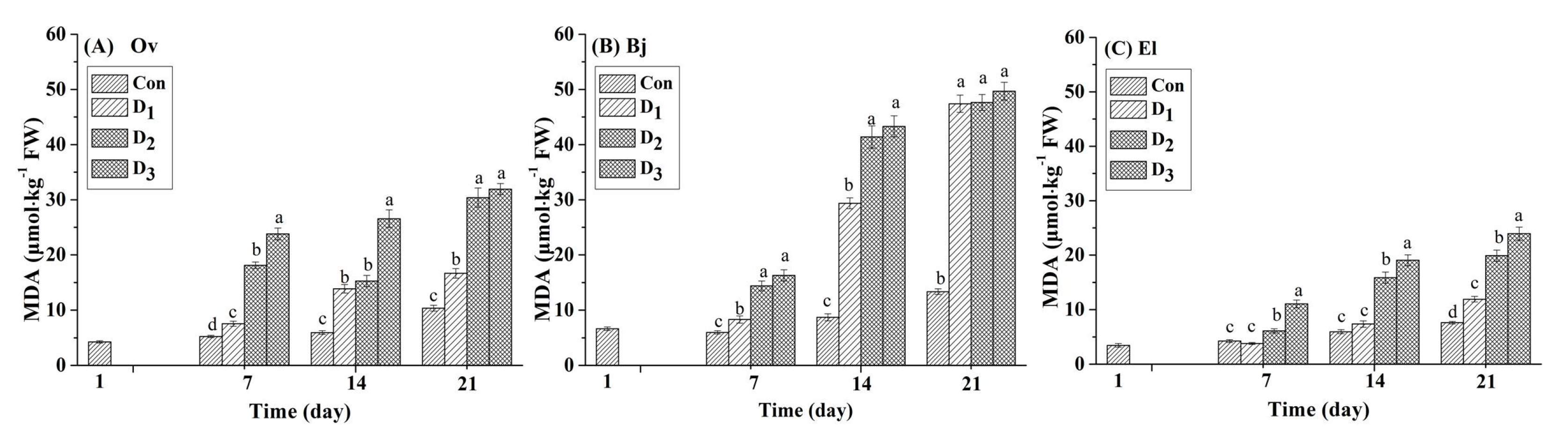Energies 10 01370 g001