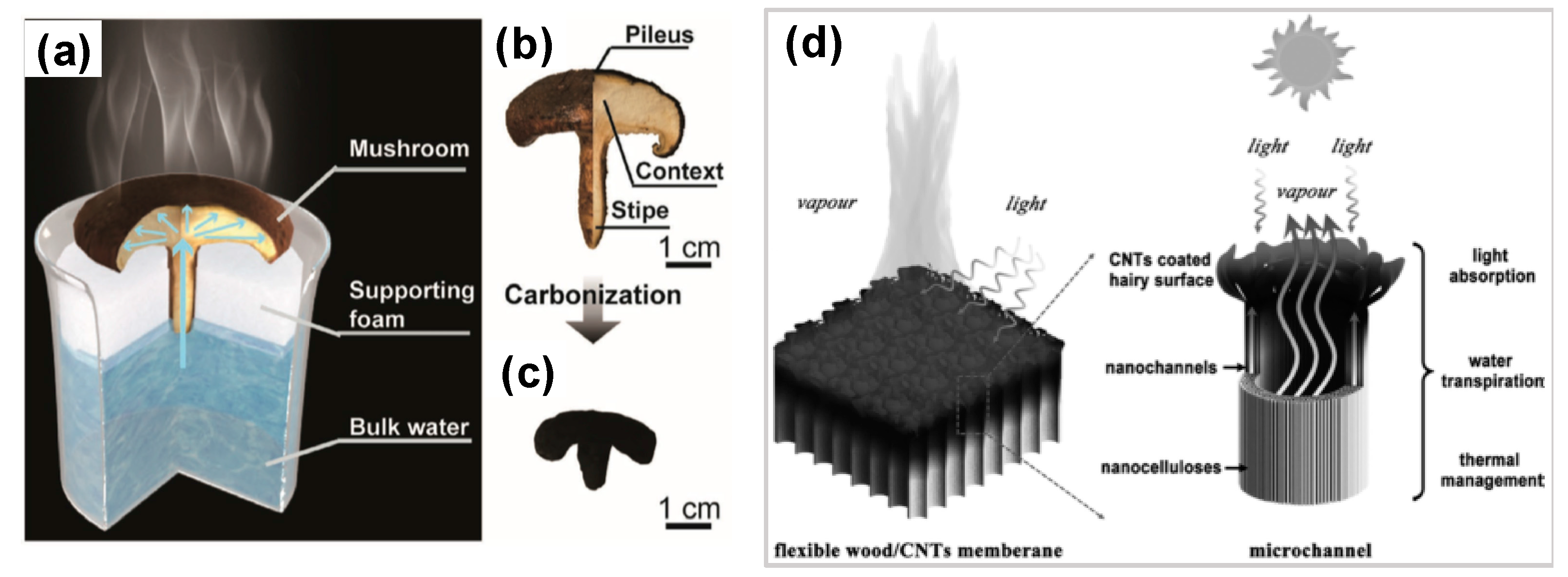 Energies 11 00253 g013