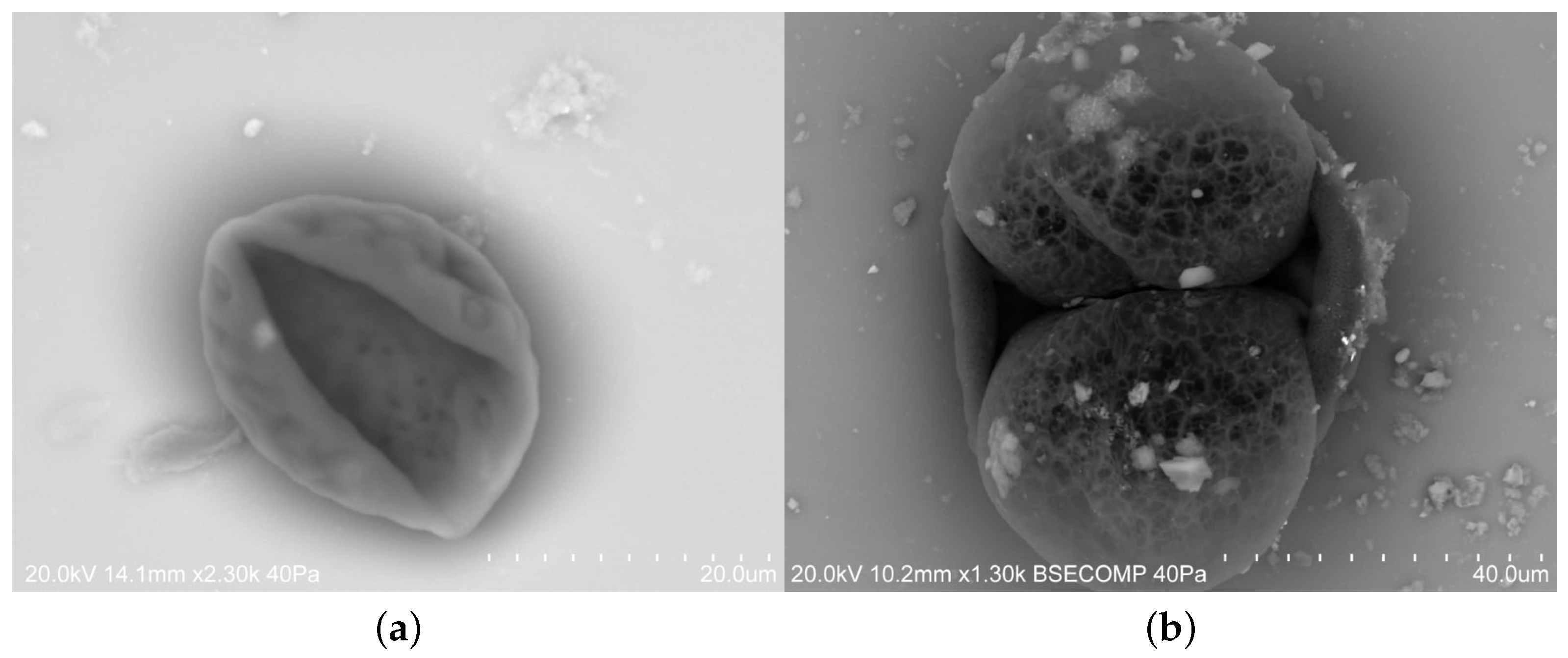 Energies 11 00294 g007a