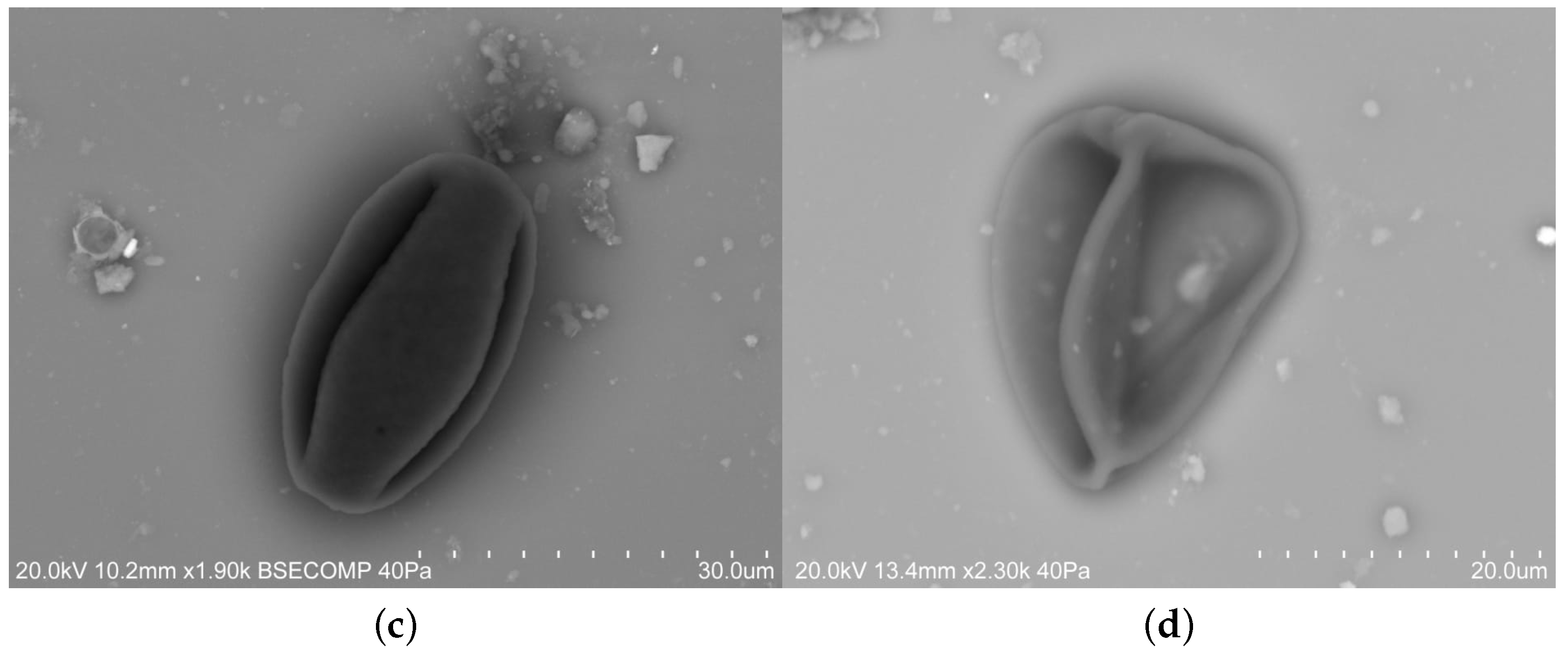 Energies 11 00294 g007b