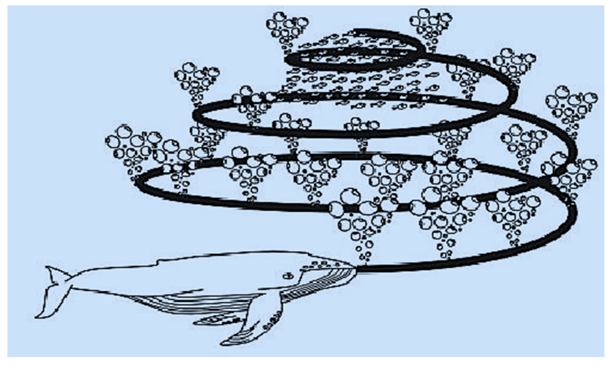 Energies 11 00535 g002