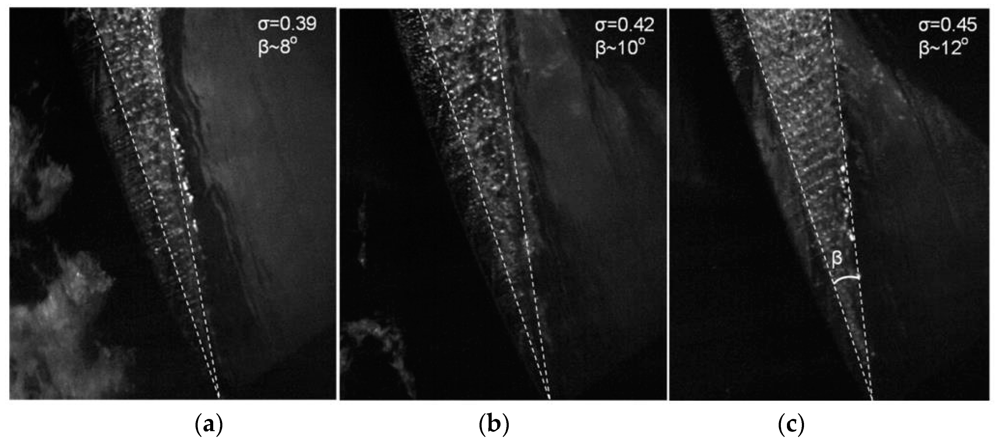 Energies 11 02202 g011 Energies 11 02202 g011