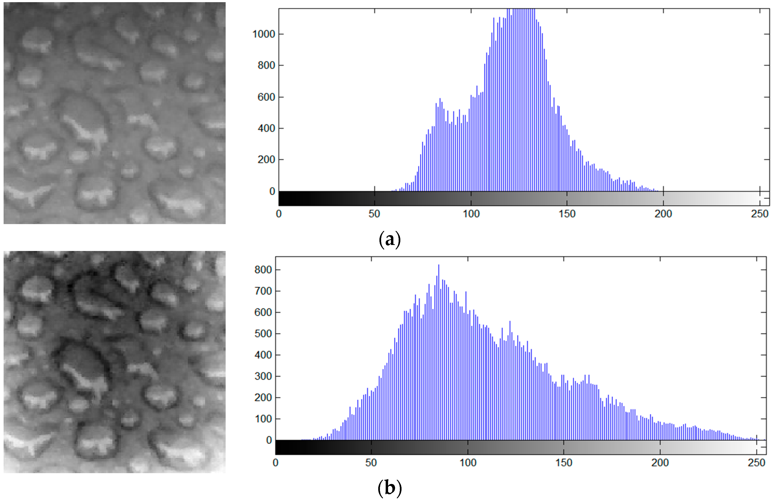 Energies 11 02459 g003