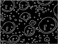 Energies 11 02459 i008