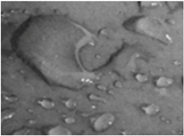 Energies 11 02459 i010