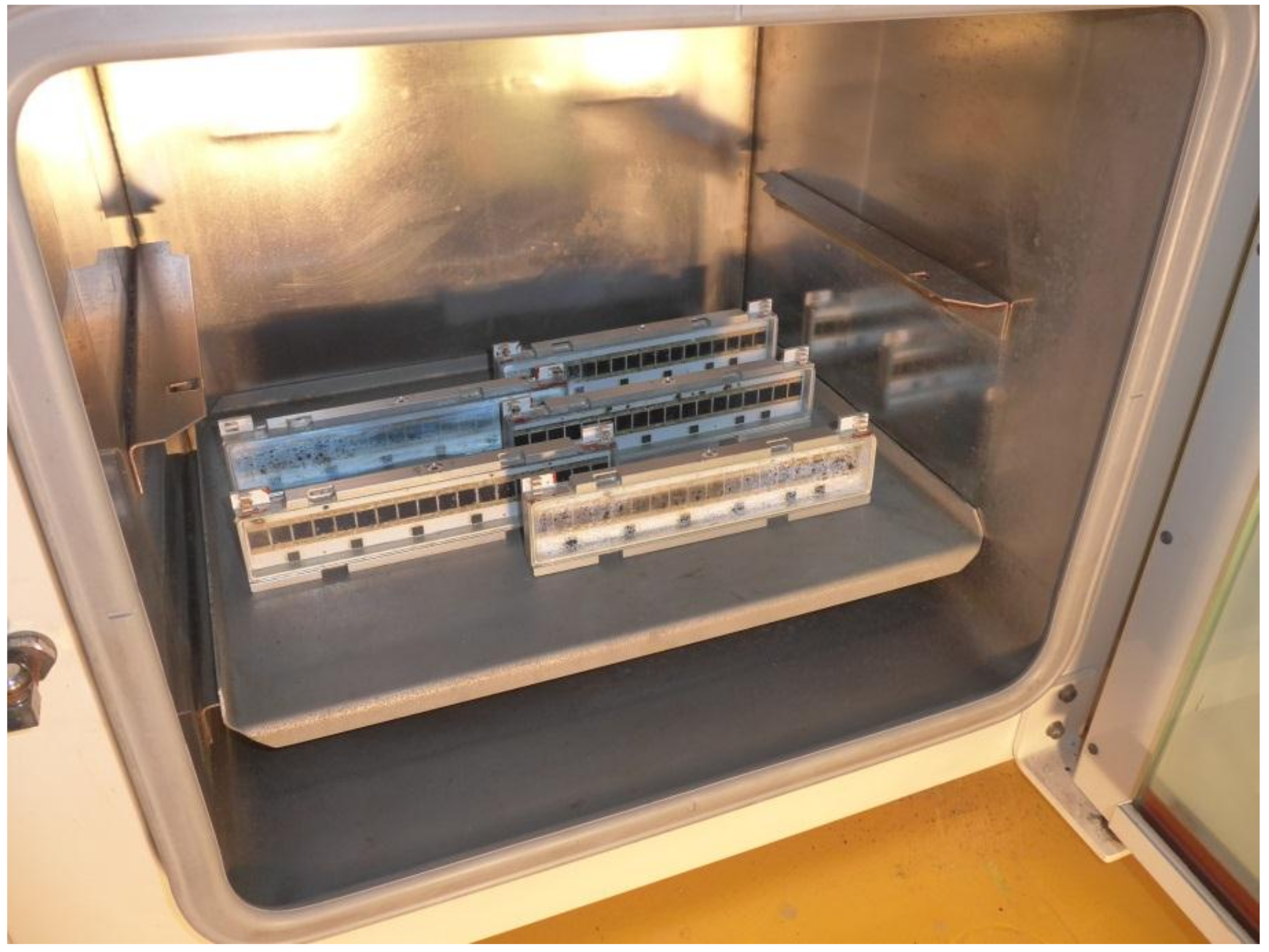 Energies 11 02659 g008