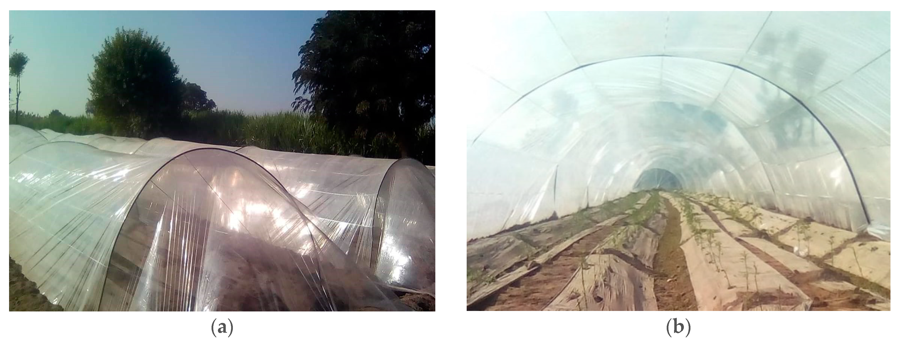 Energies 11 03427 g009a