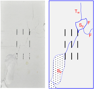 Energies 12 00079 i013 Energies 12 00079 i013