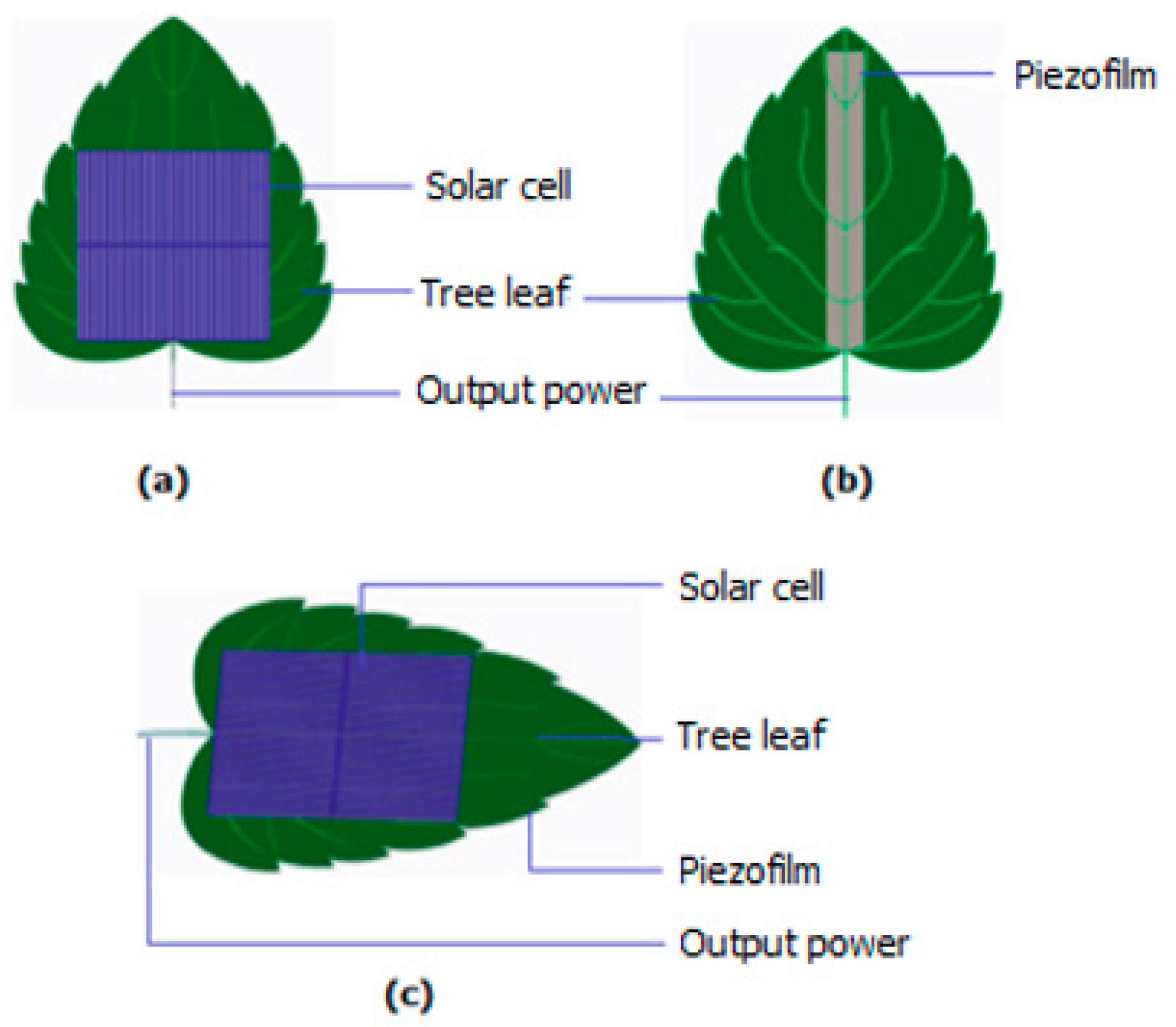 Energies 12 00229 g002