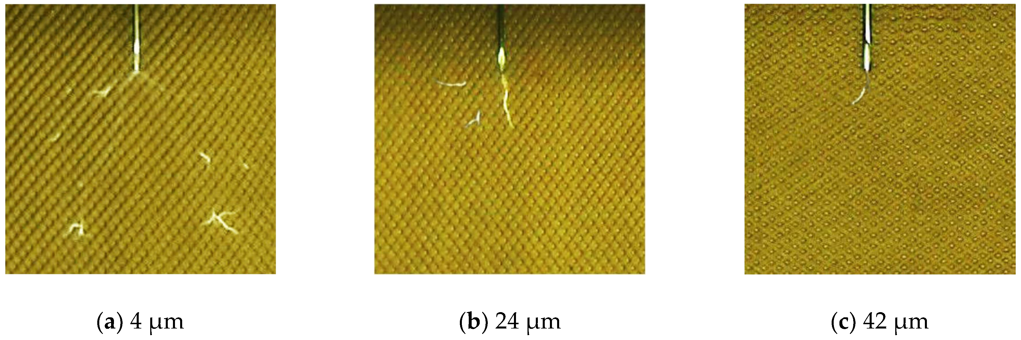 Energies 12 00554 g009