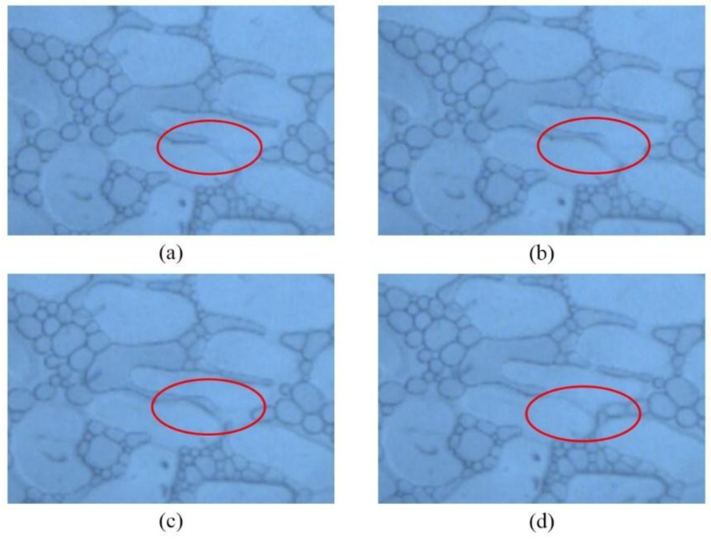 Energies 12 00781 g011