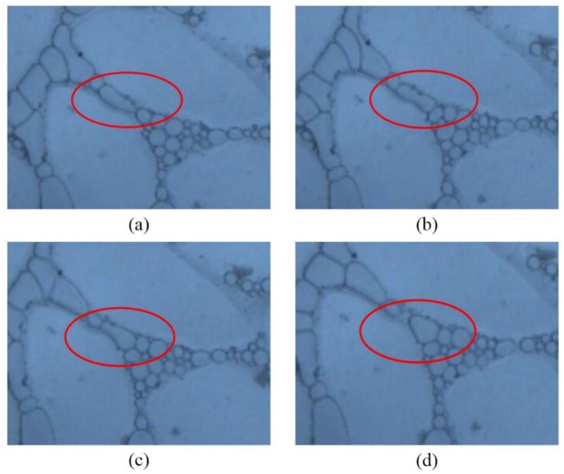 Energies 12 00781 g012