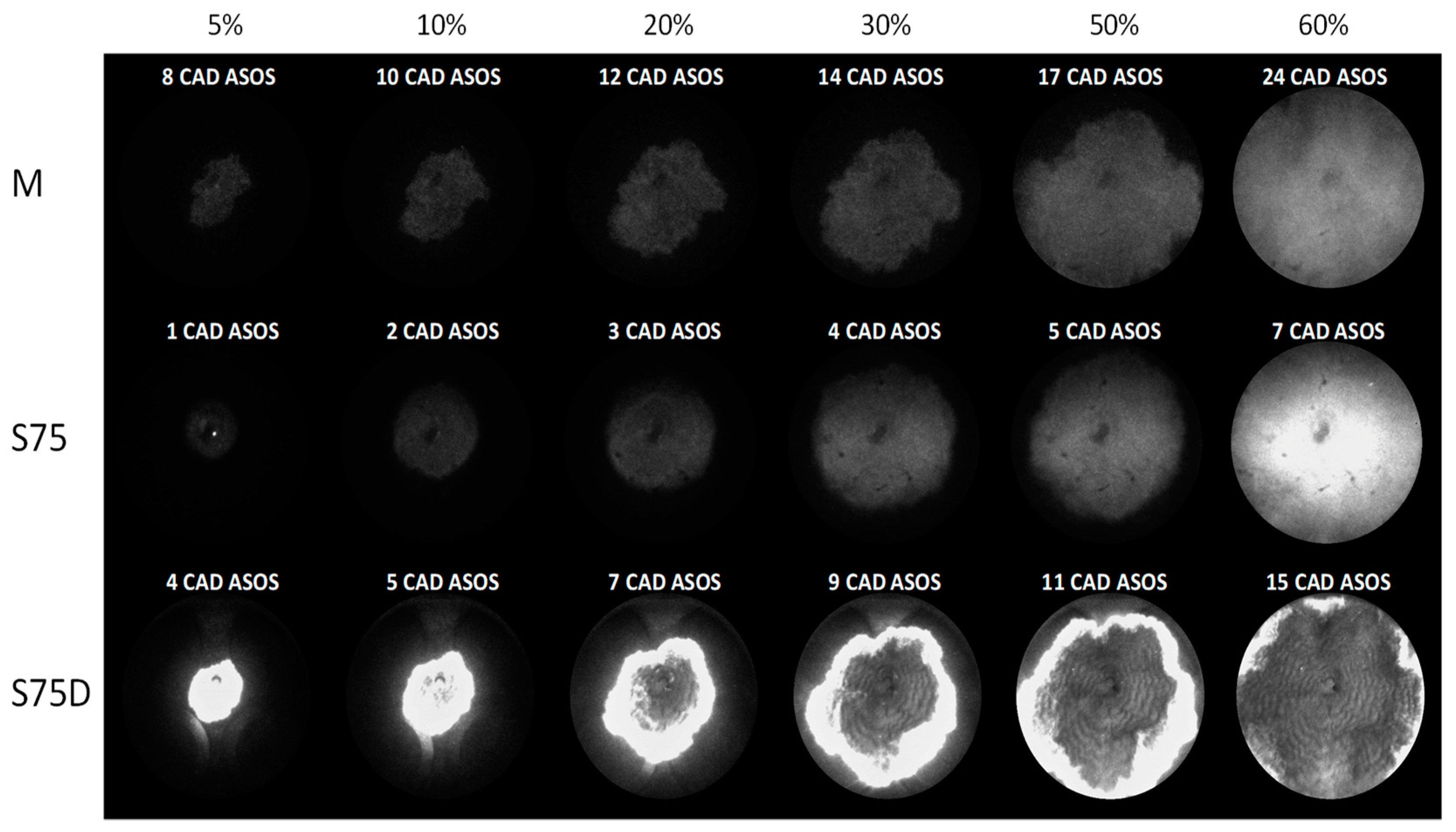 Energies 12 01566 g011