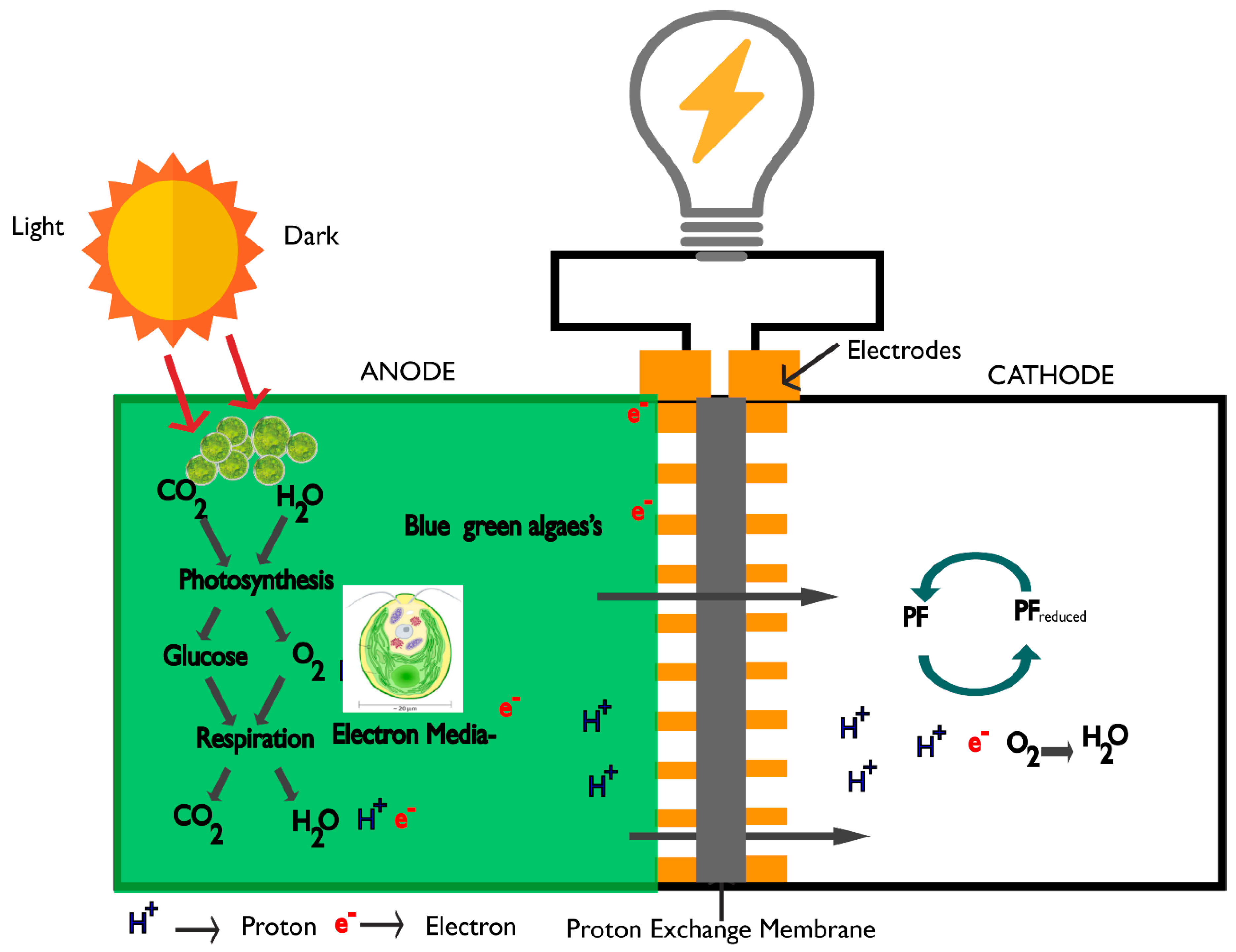 Energies 12 01595 g002