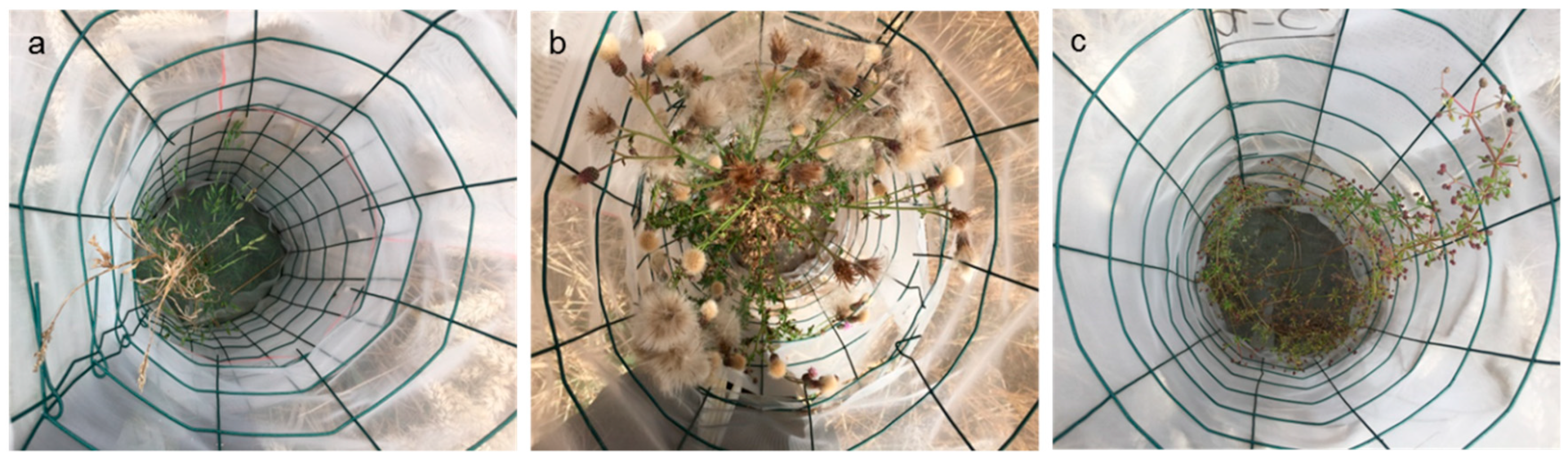 Energies 12 01688 g001 Energies 12 01688 g001