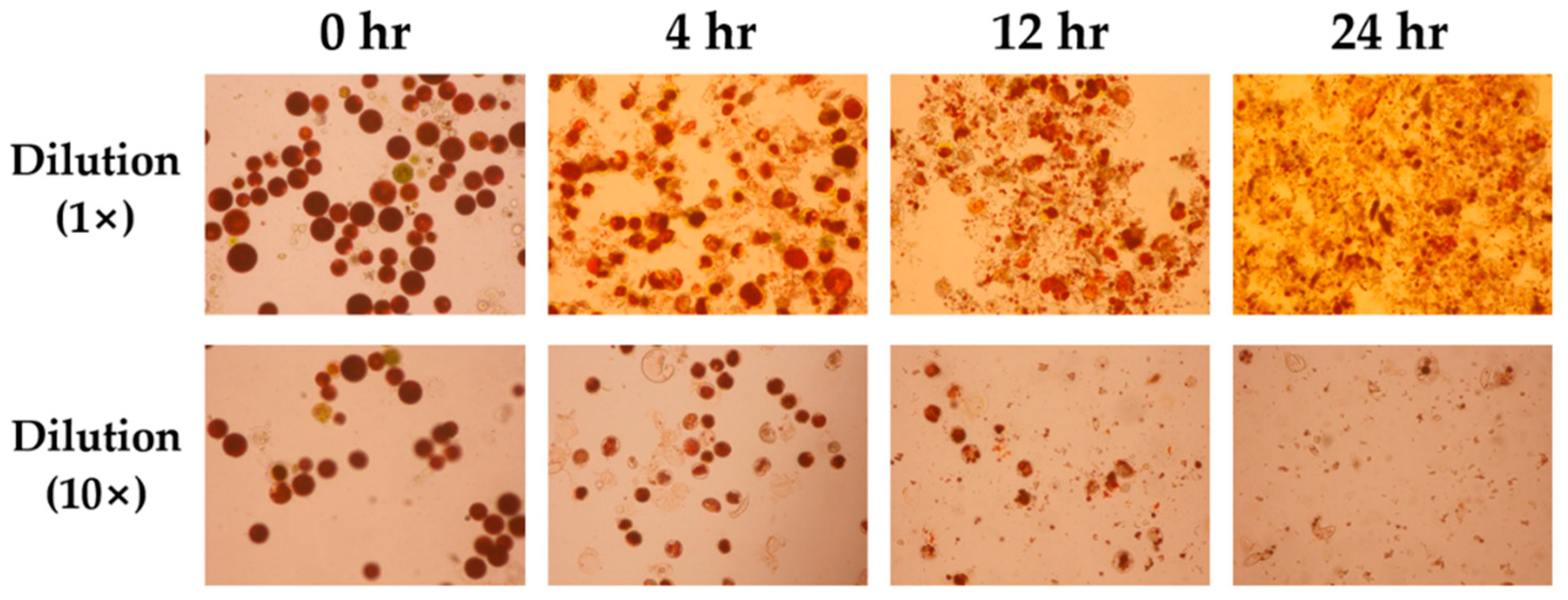 Energies 12 01718 g006