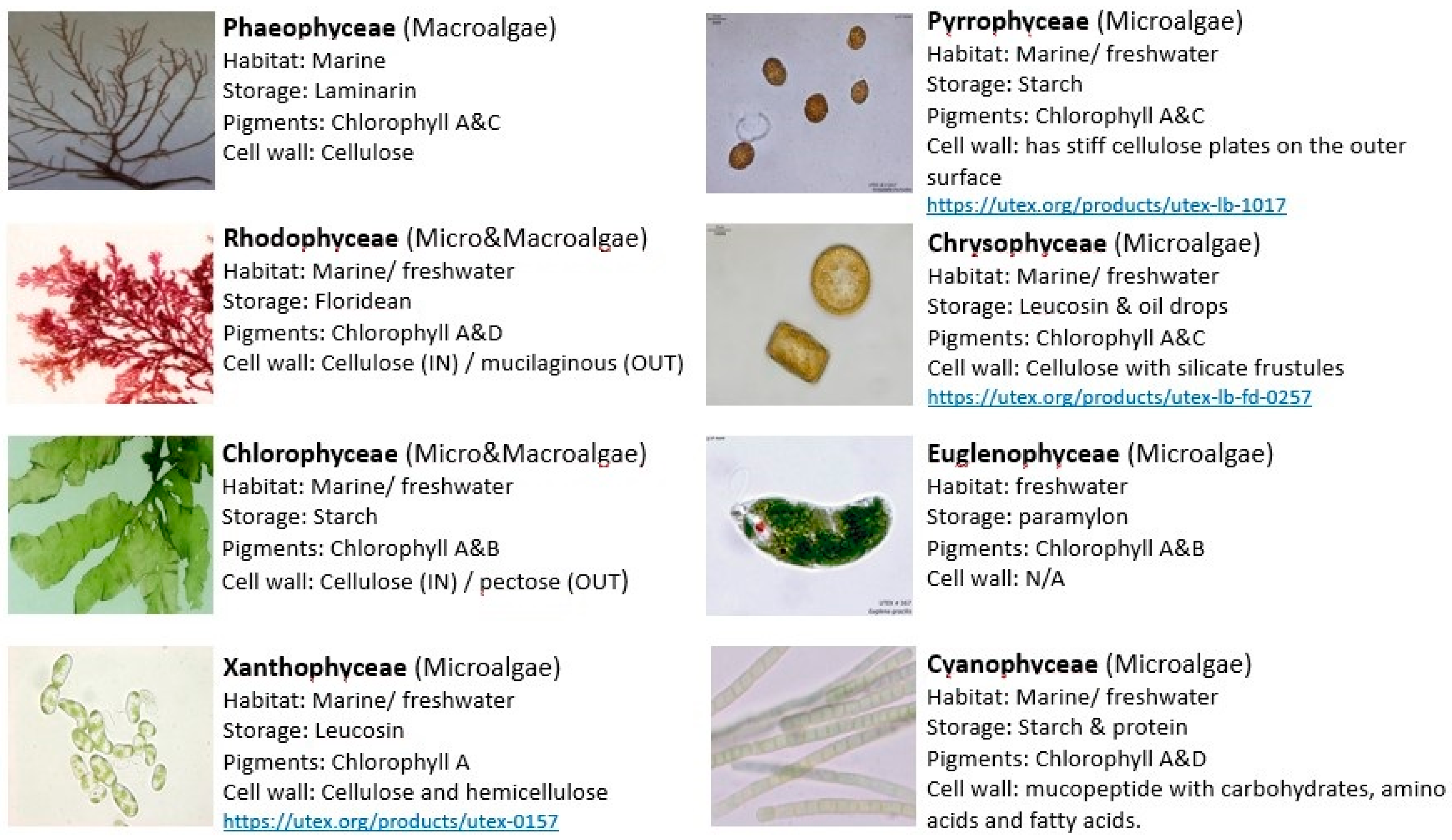 Energies 12 01920 g002