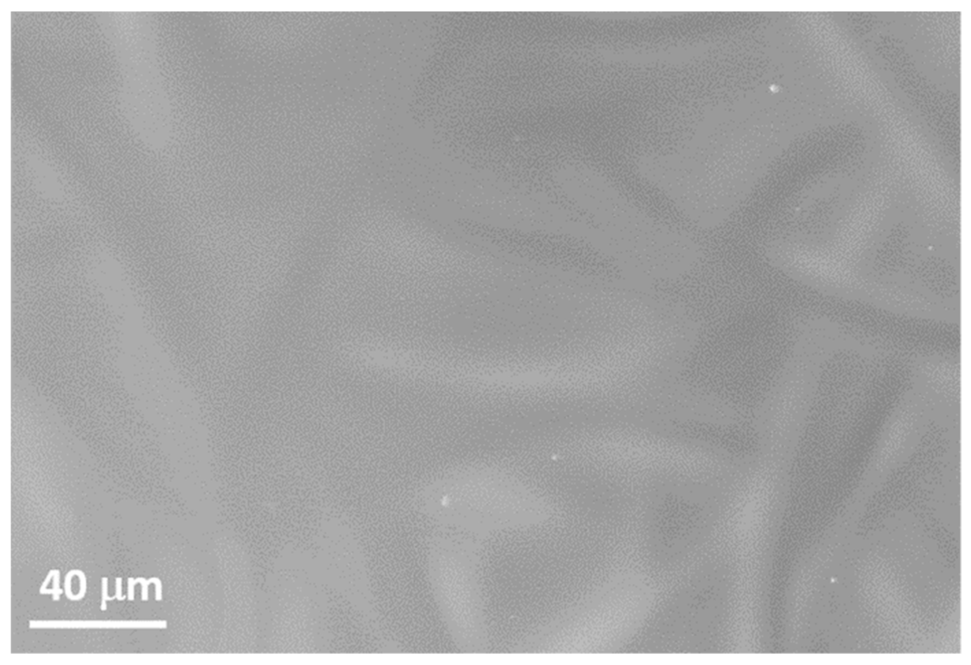 Energies 12 02064 g008 Energies 12 02064 g008