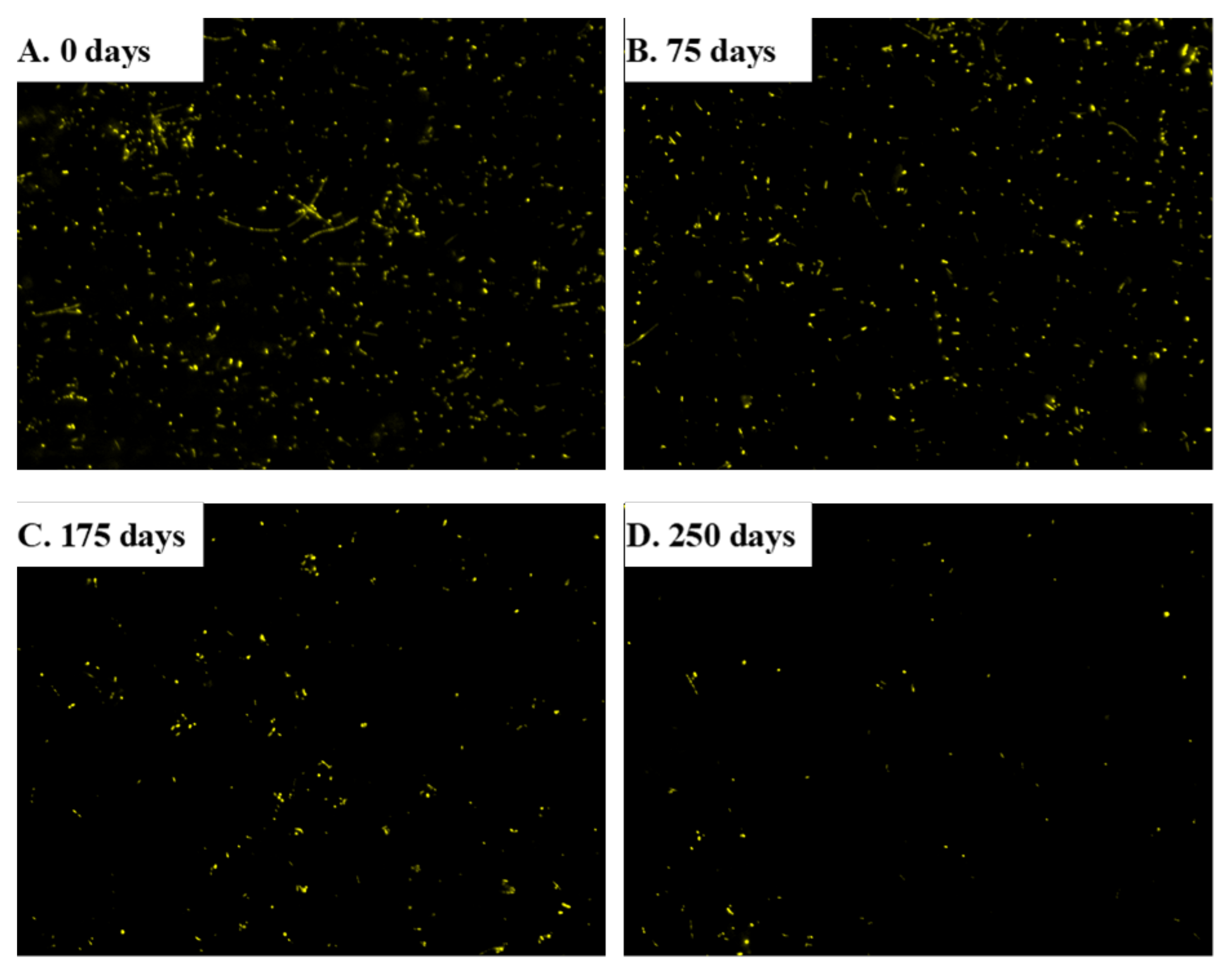 Energies 12 02222 g006 Energies 12 02222 g006