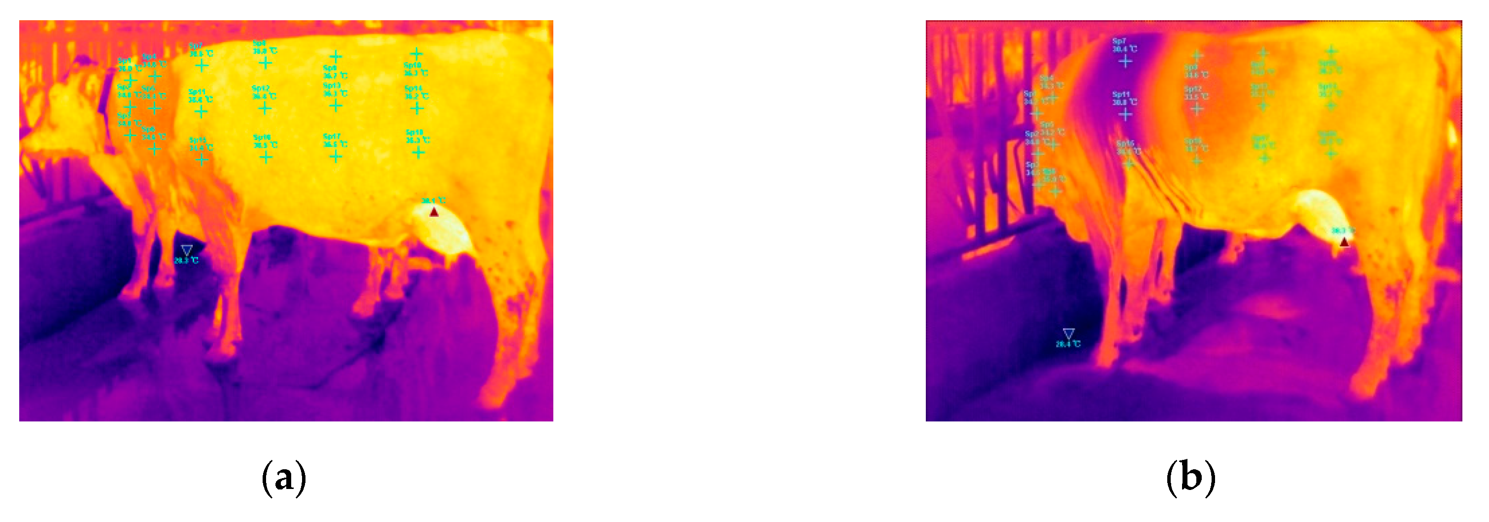 Energies 12 03637 g008