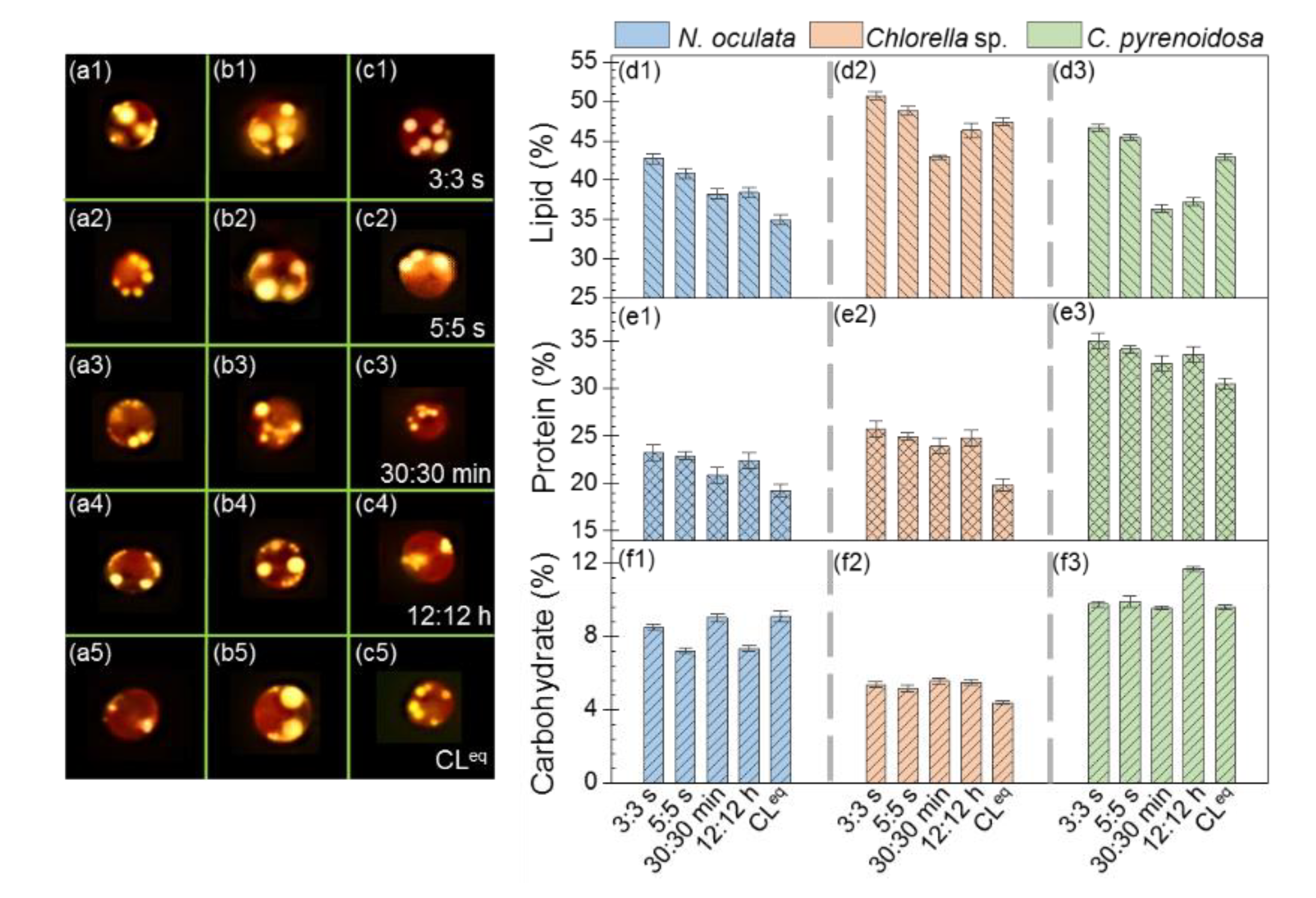 Energies 12 03724 g004