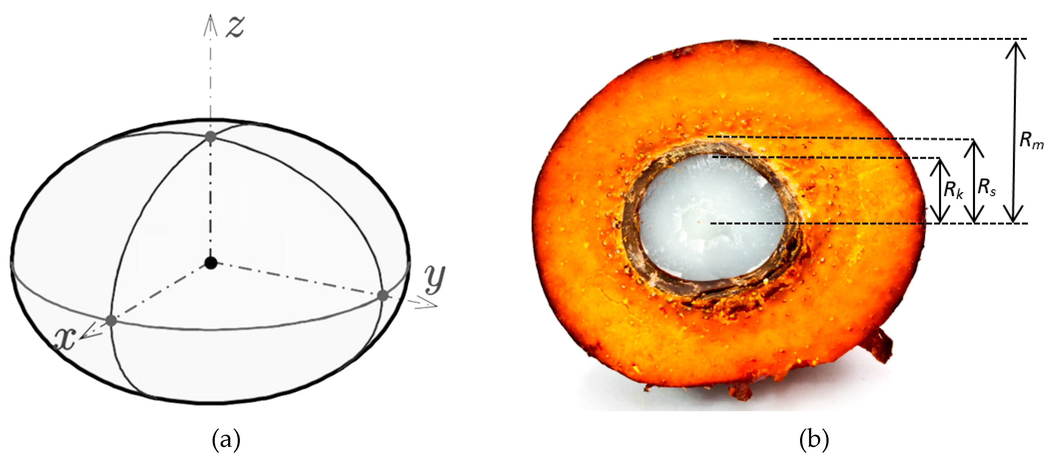 Energies 12 03981 g001