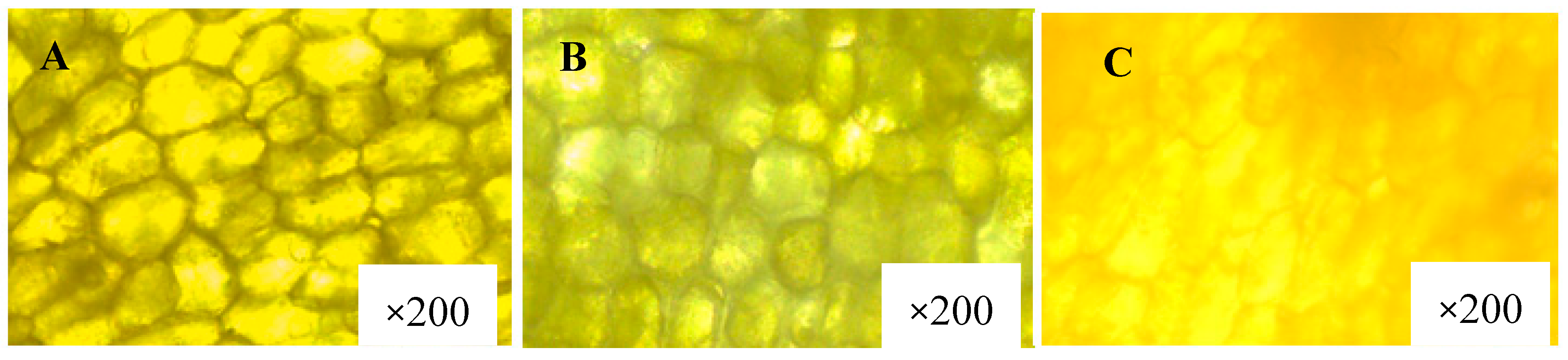 Energies 12 03981 g003