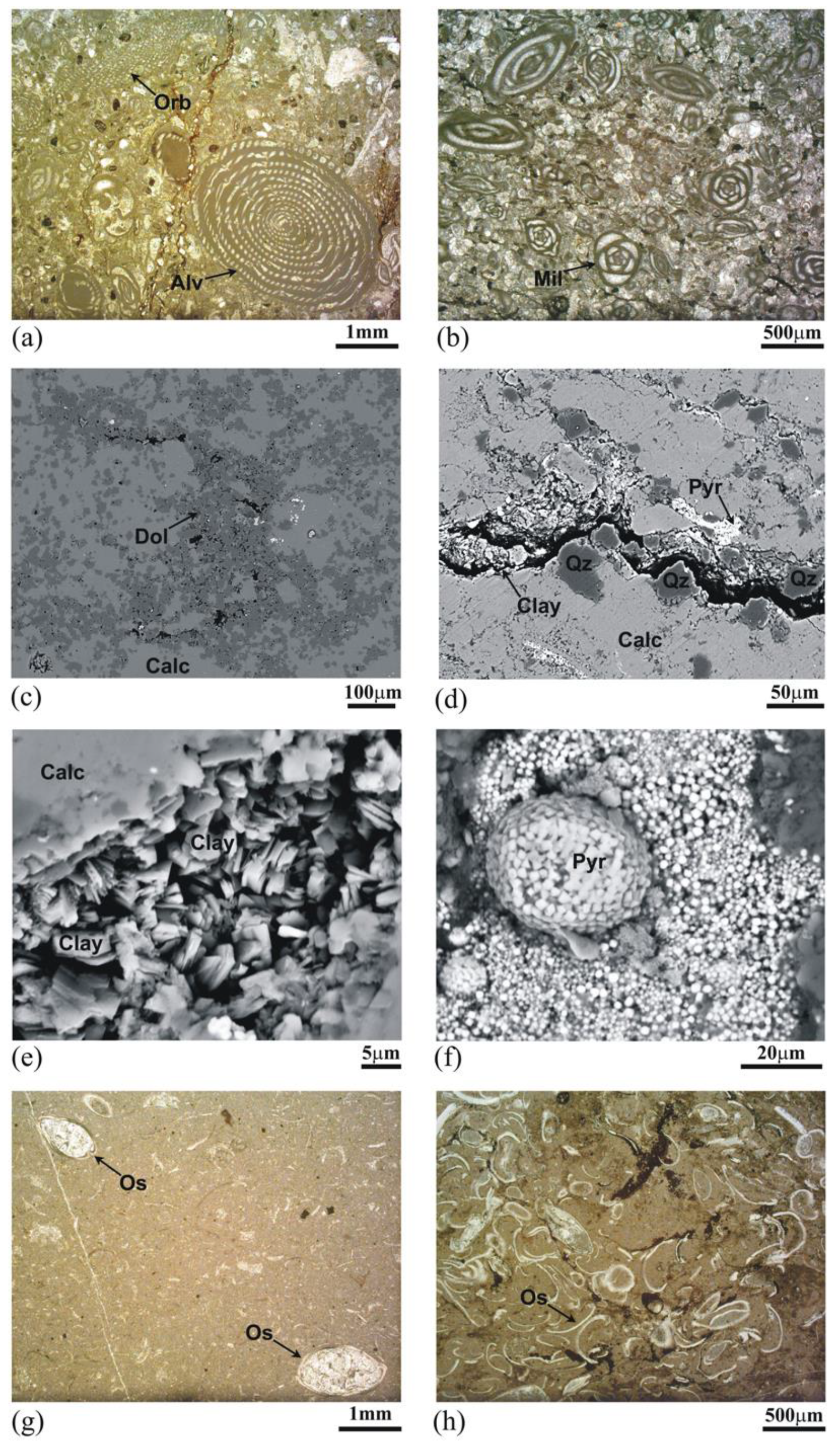 Energies 12 04524 g012