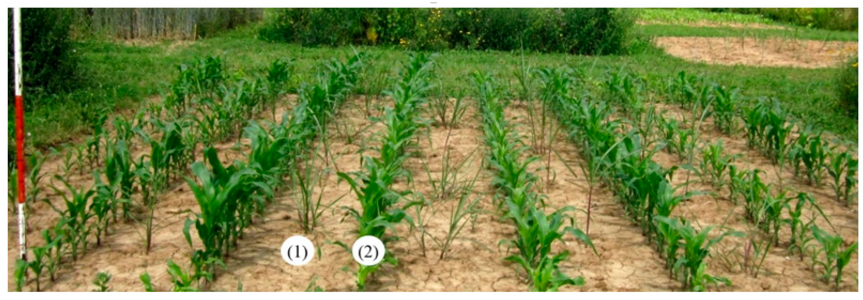 Energies 12 04680 g001 Energies 12 04680 g001