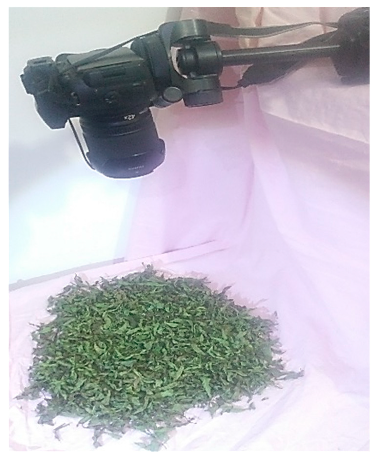 Energies 12 04747 g007 Energies 12 04747 g007