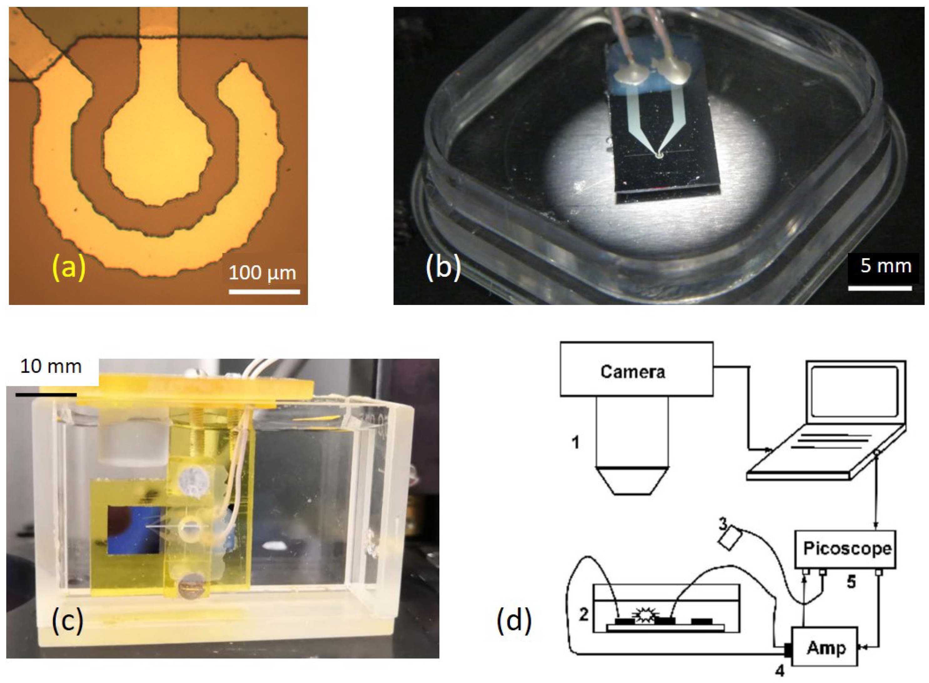 Energies 13 00020 g001
