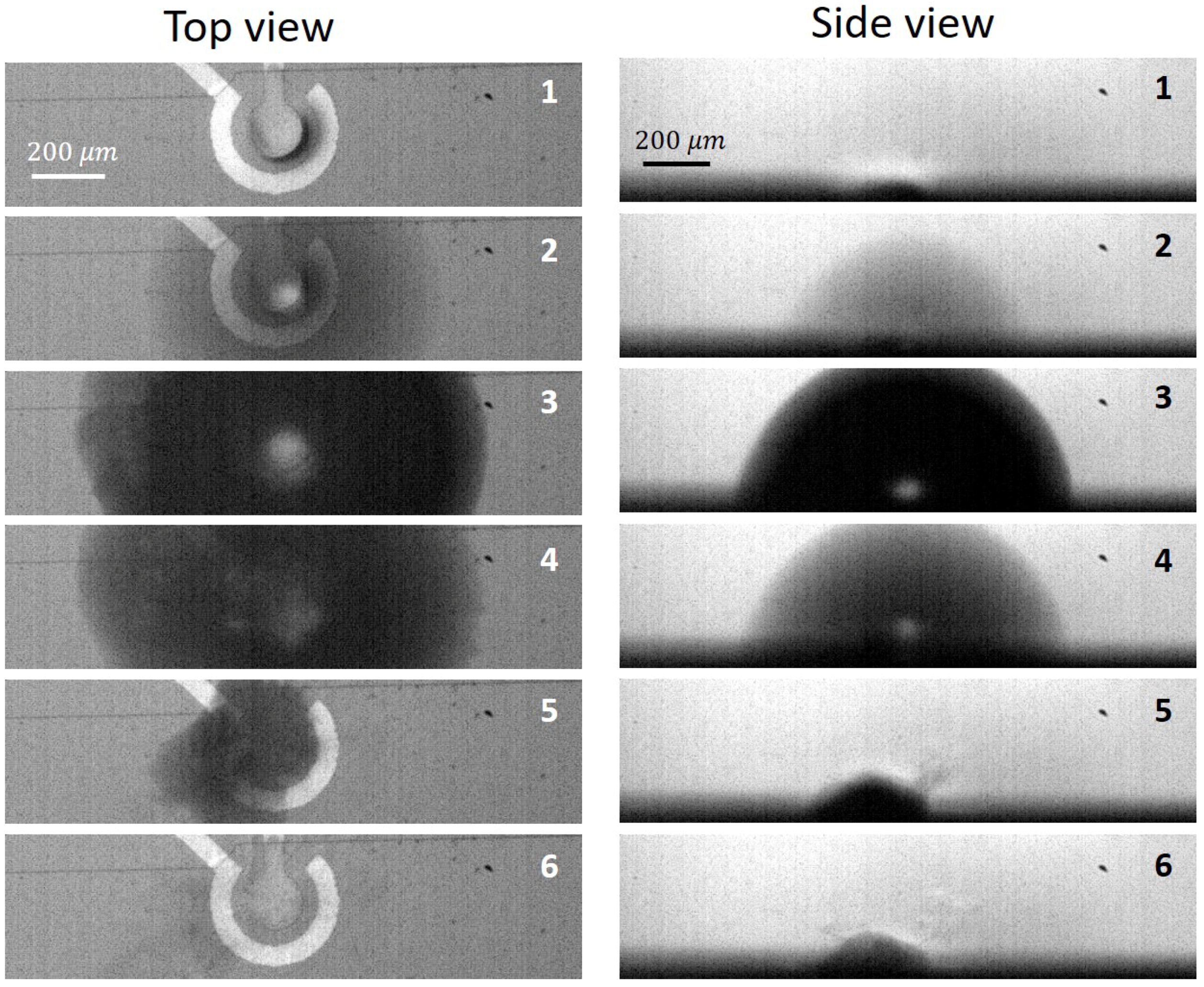 Energies 13 00020 g002