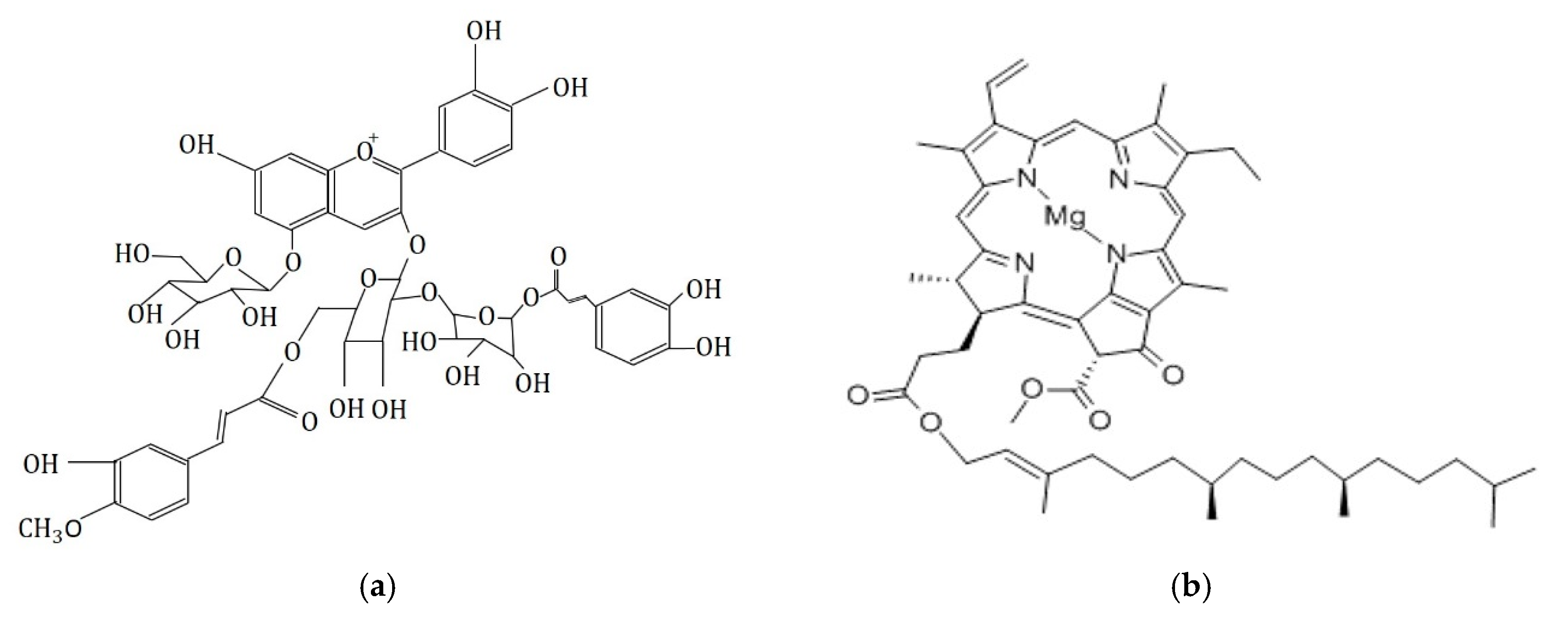 Energies 13 00057 g008