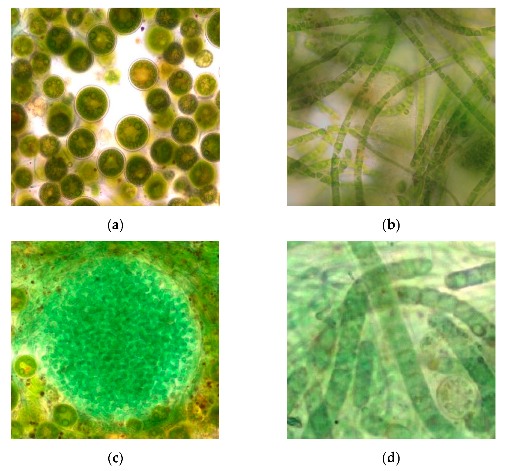 Energies 13 00293 g004