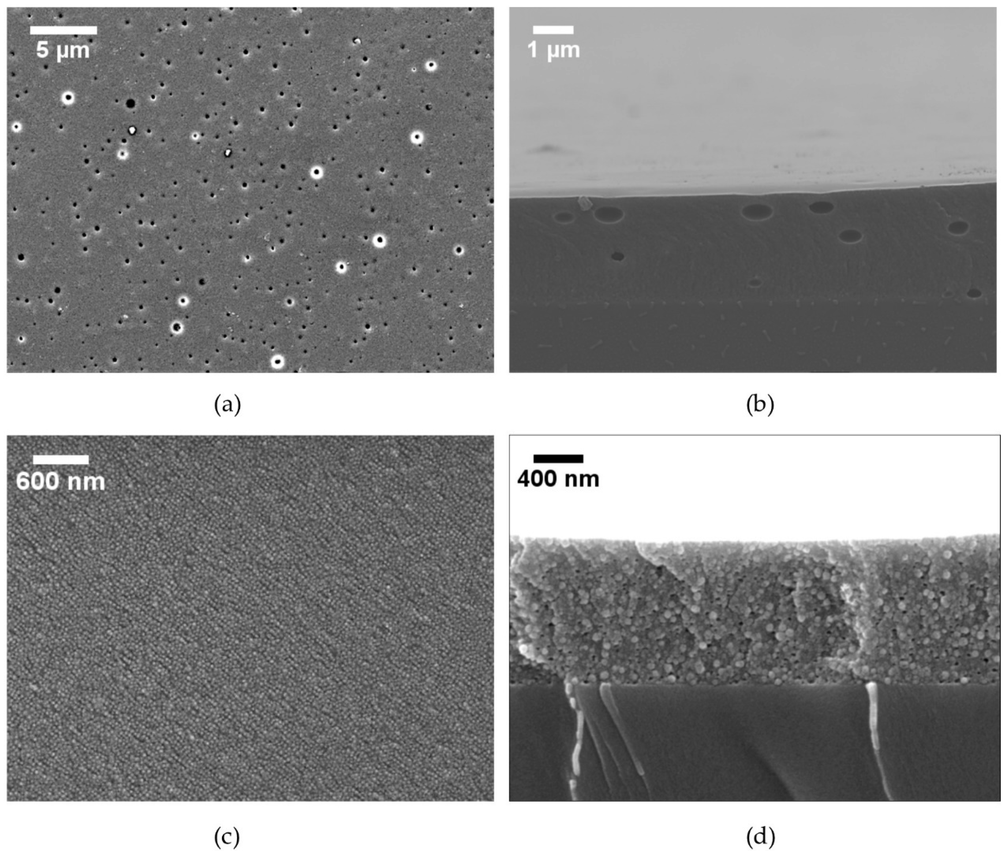 Energies 13 00299 g005