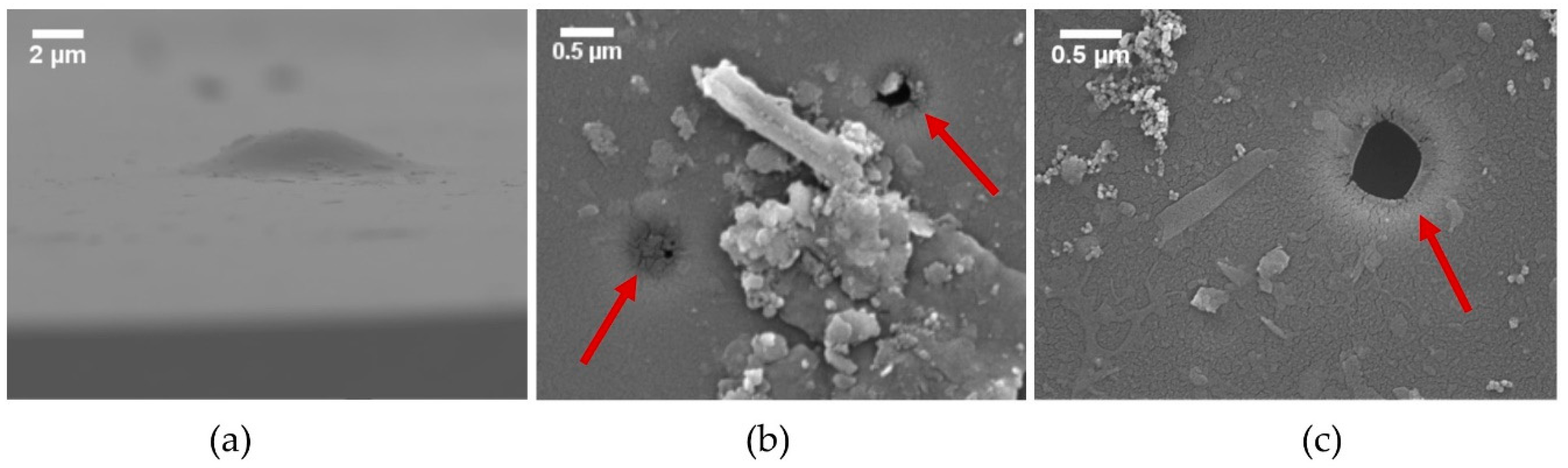 Energies 13 00299 g006