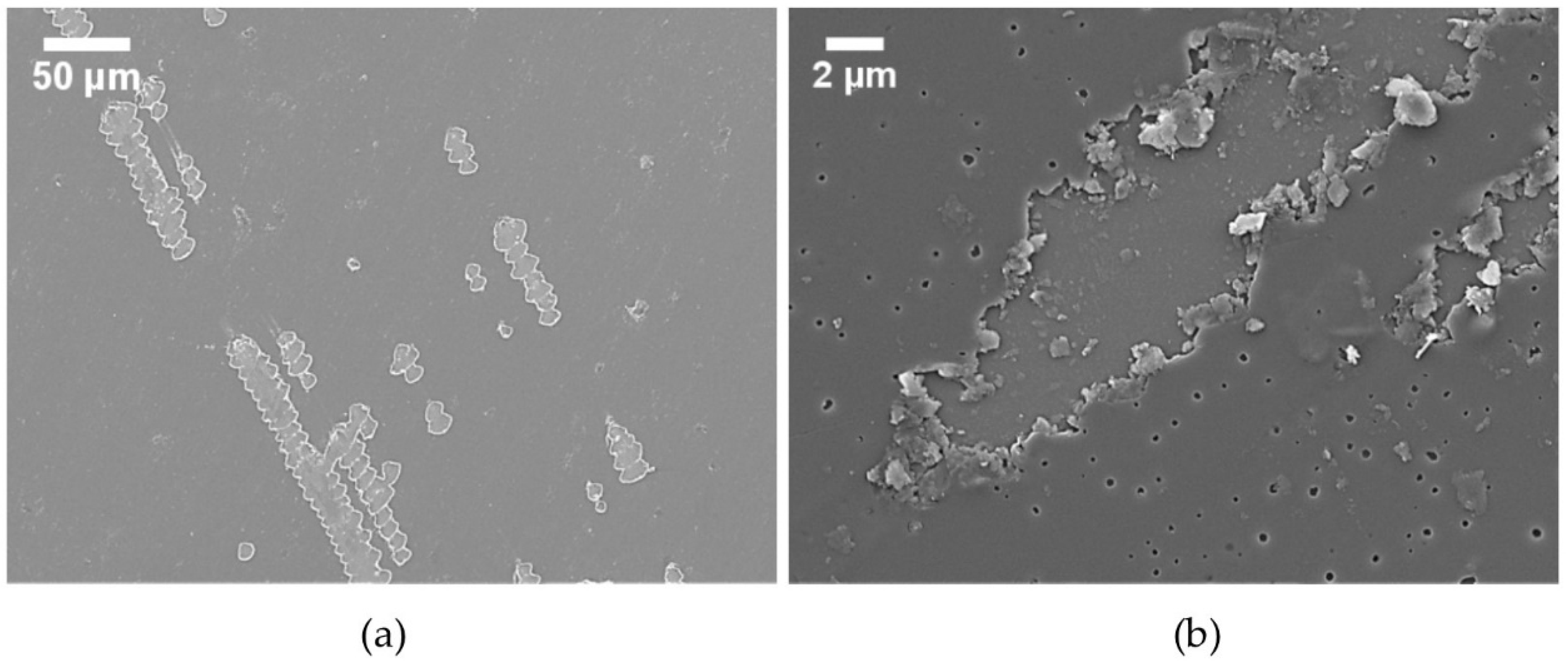 Energies 13 00299 g007