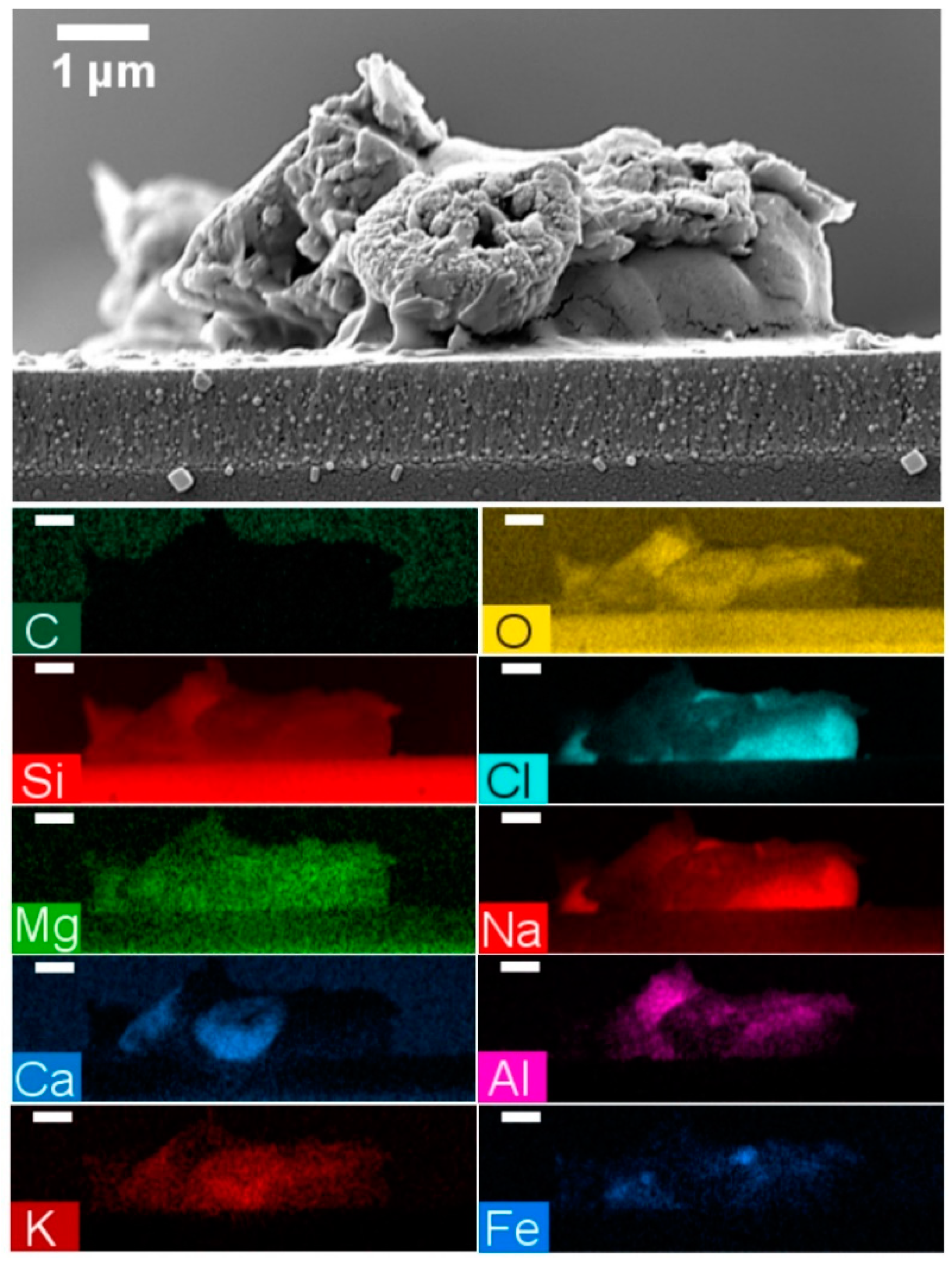 Energies 13 00299 g013