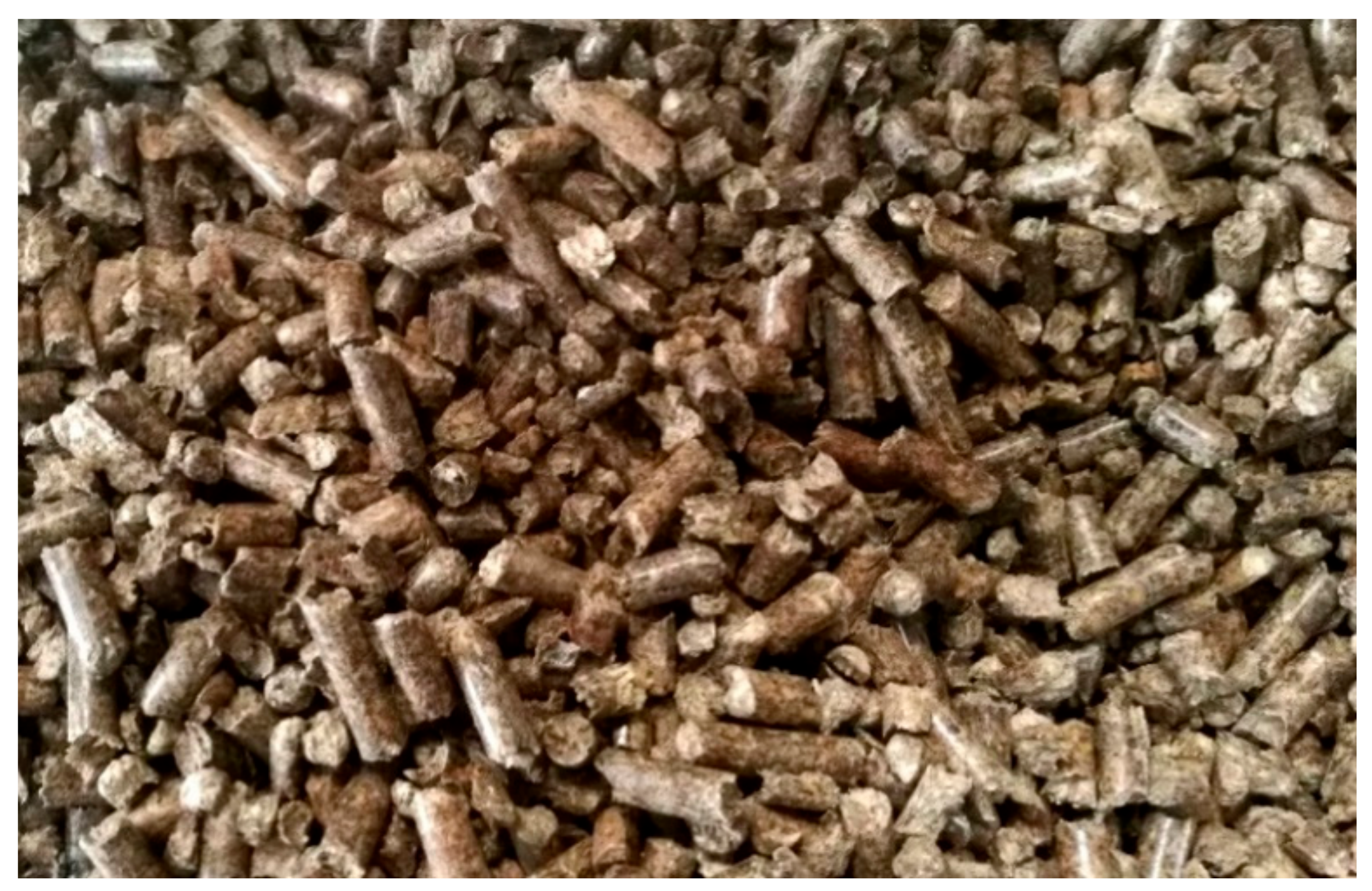 Energies 13 00463 g001