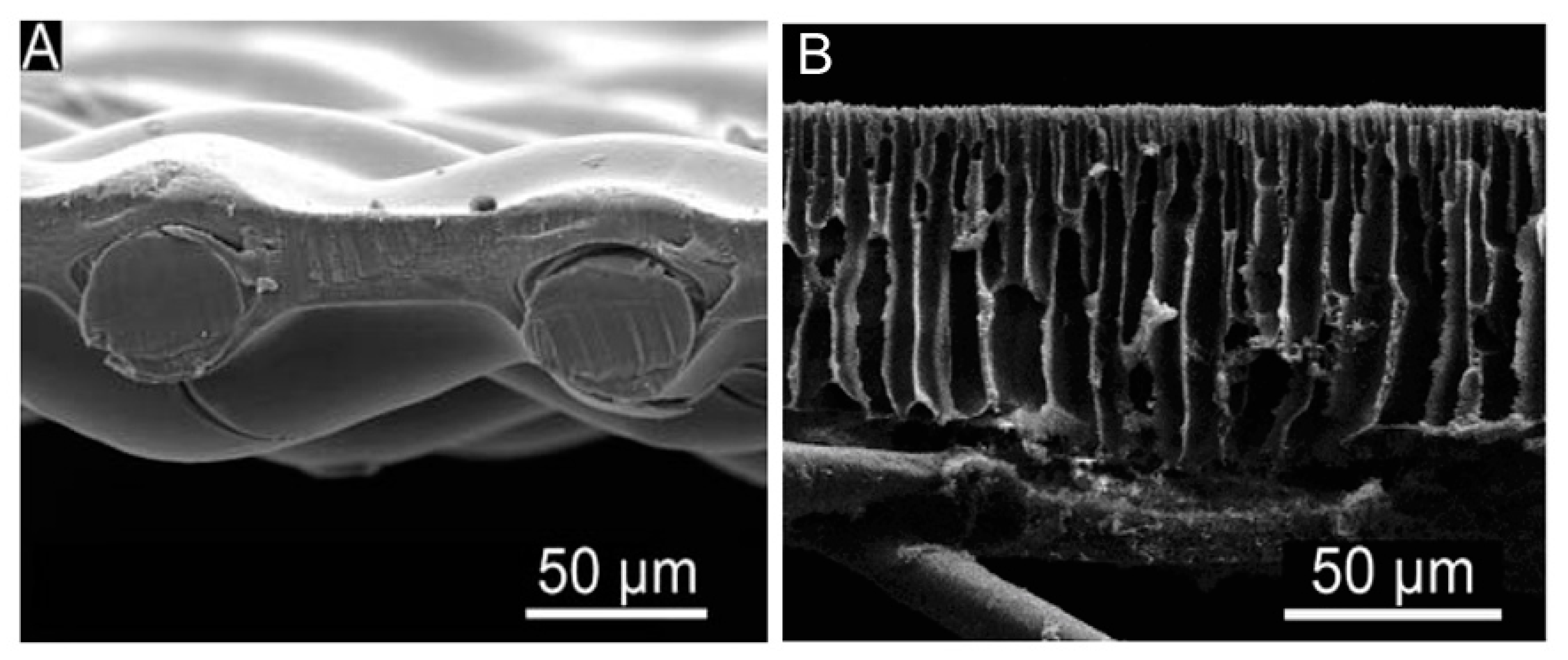 Energies 13 00481 g001