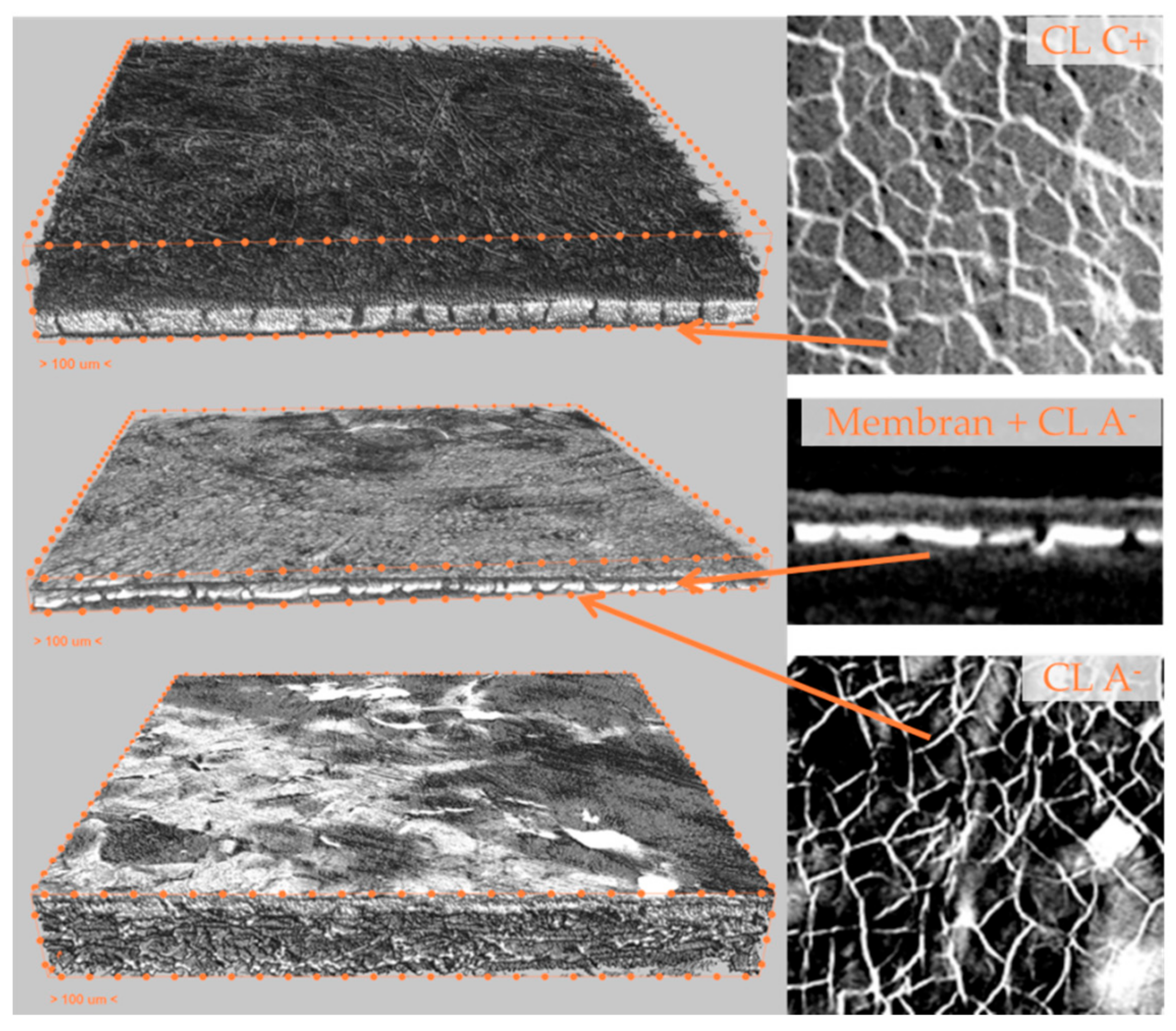 Energies 13 00567 g009