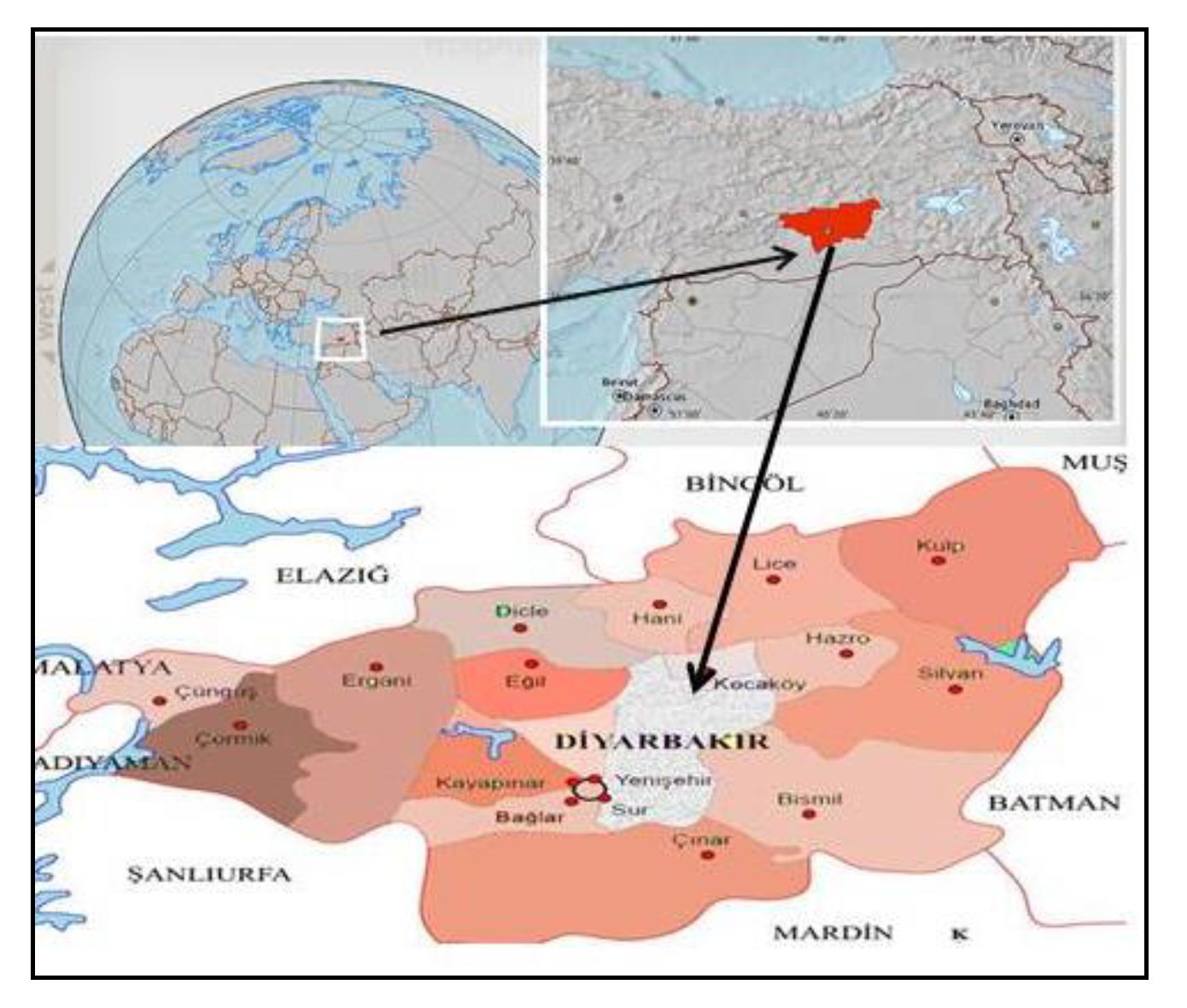 Energies 13 00587 g001