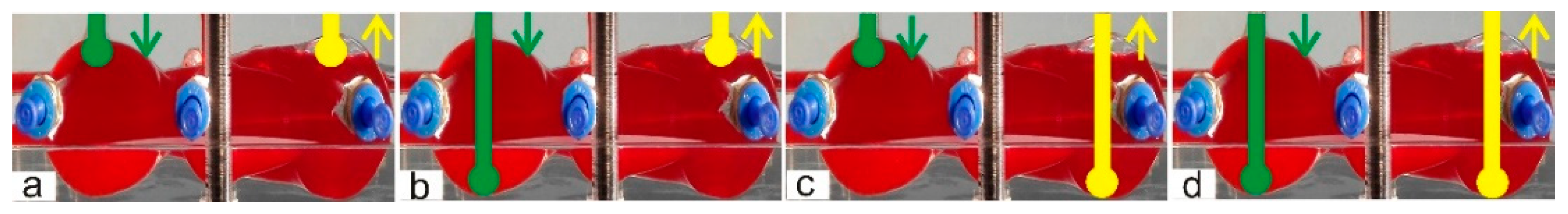 Energies 13 00603 g005