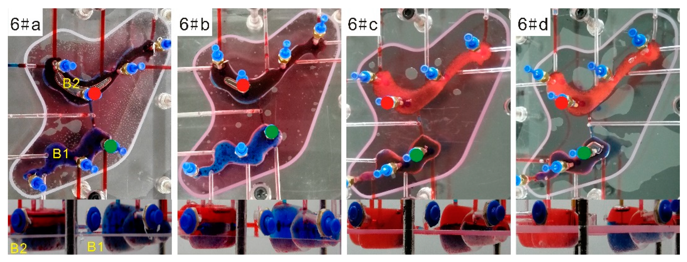 Energies 13 00603 g020