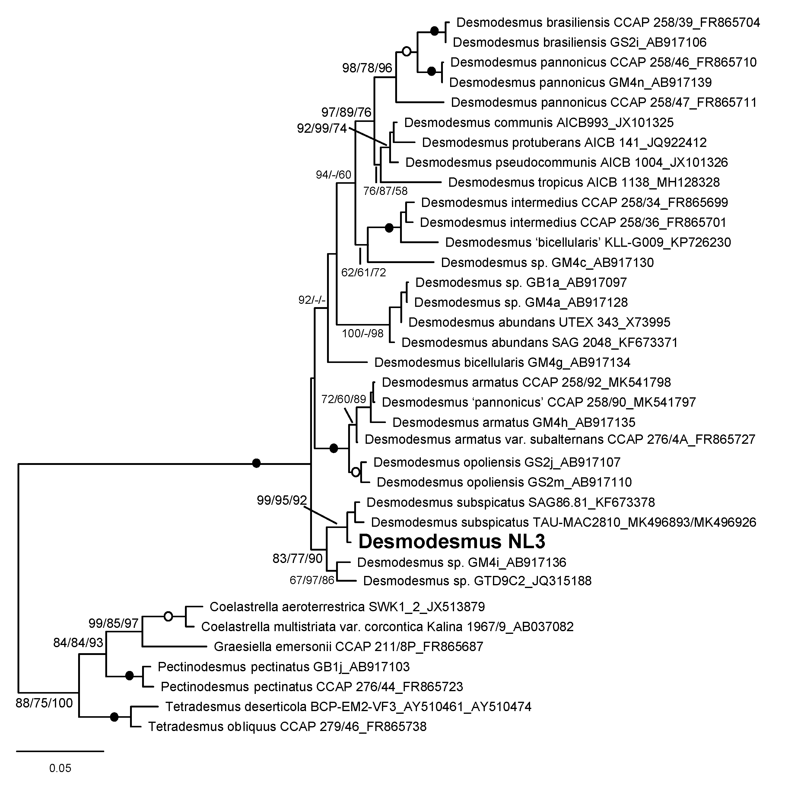 Energies 13 00898 g002