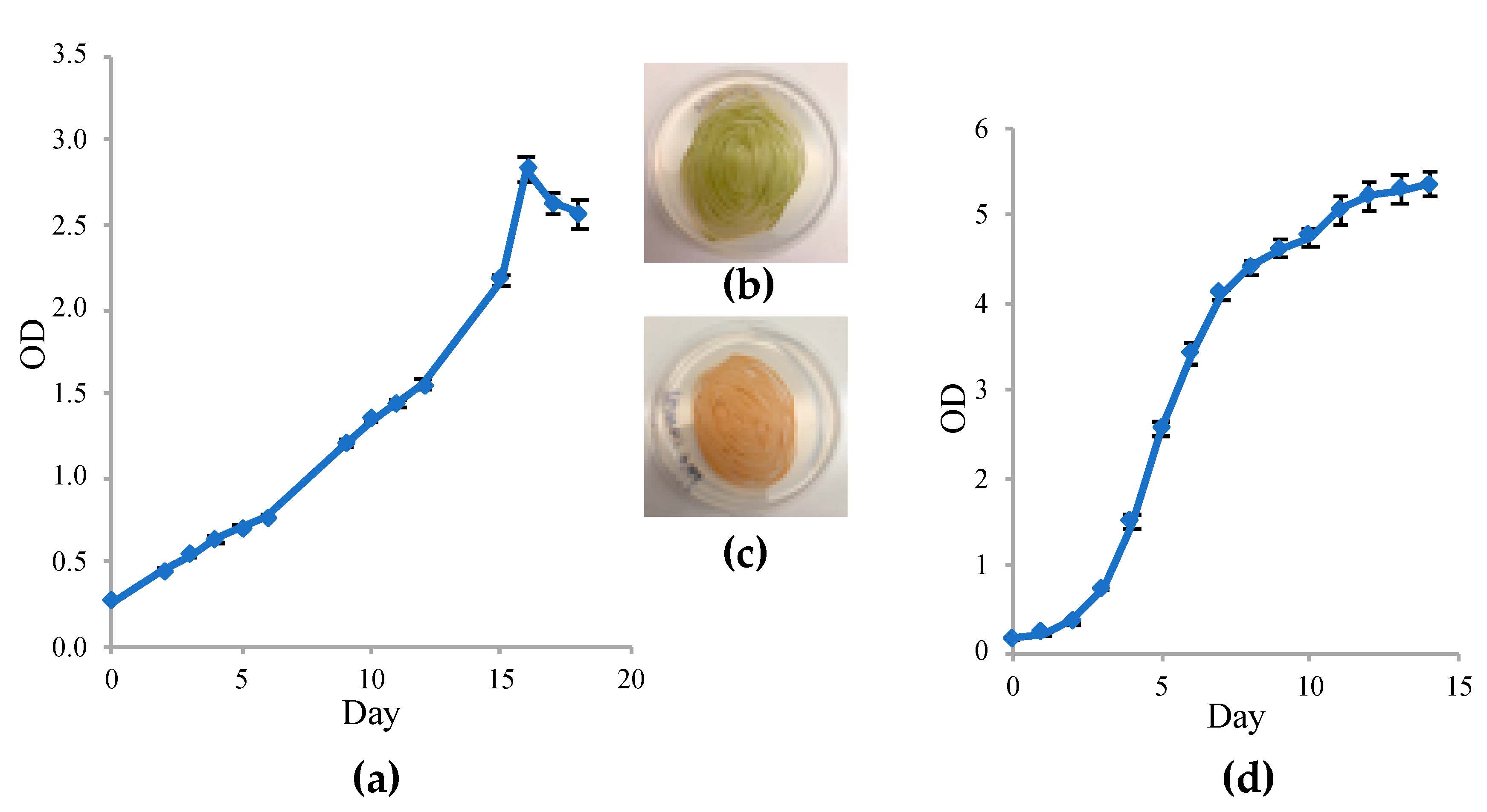 Energies 13 00898 g003