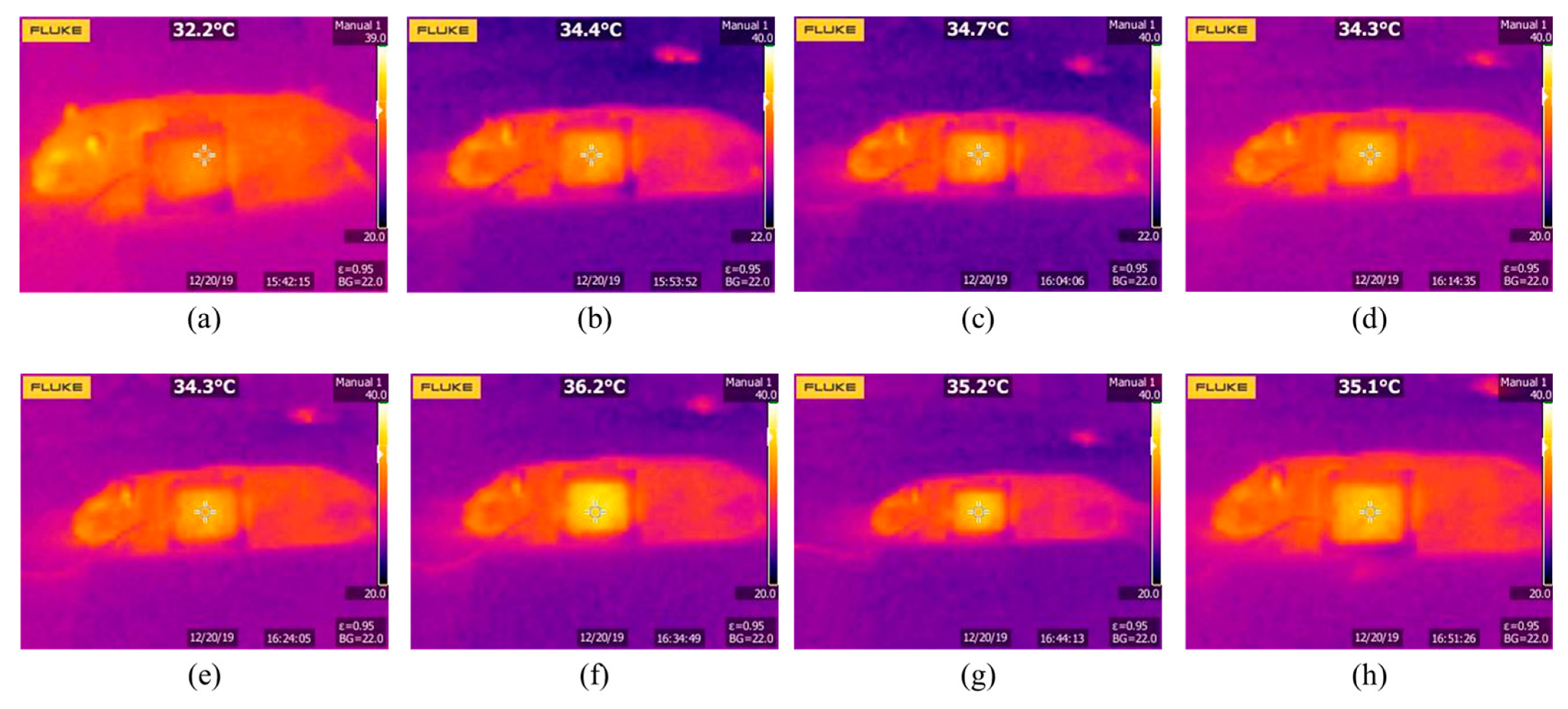 Energies 13 01008 g018