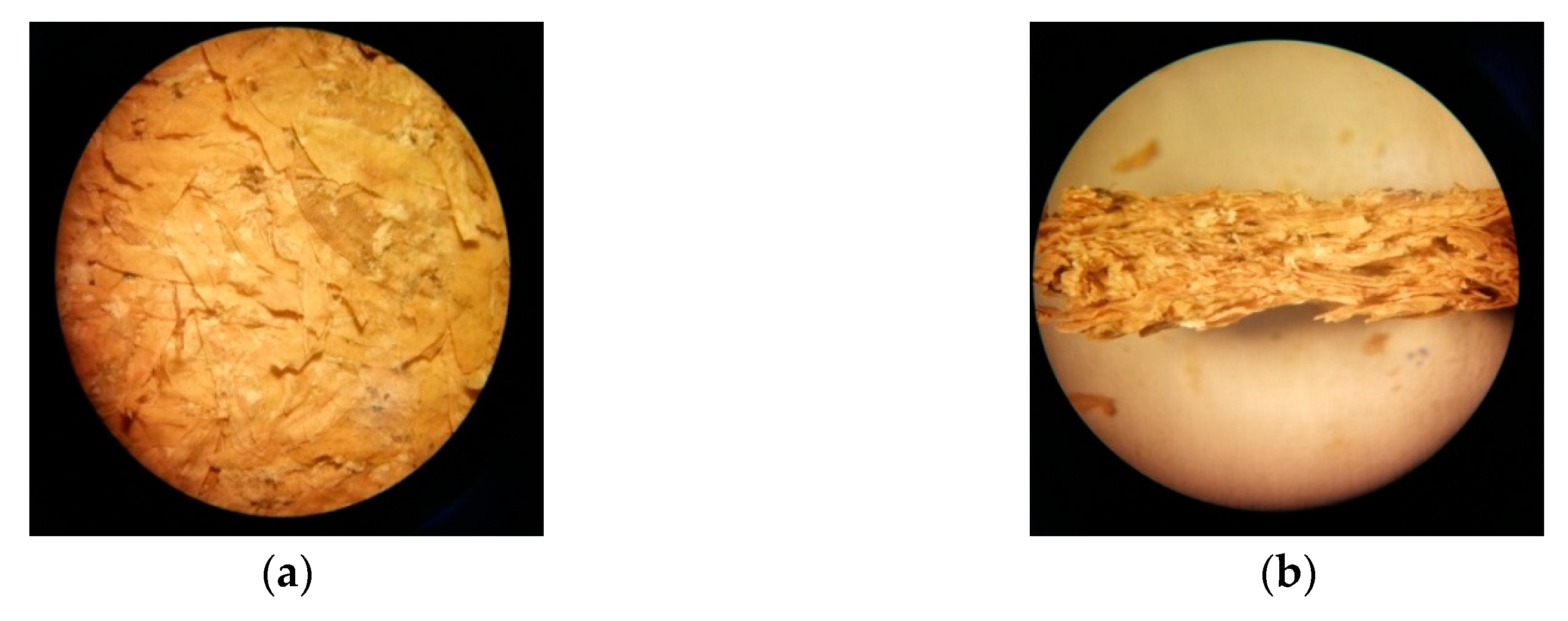 Energies 13 01060 g011a