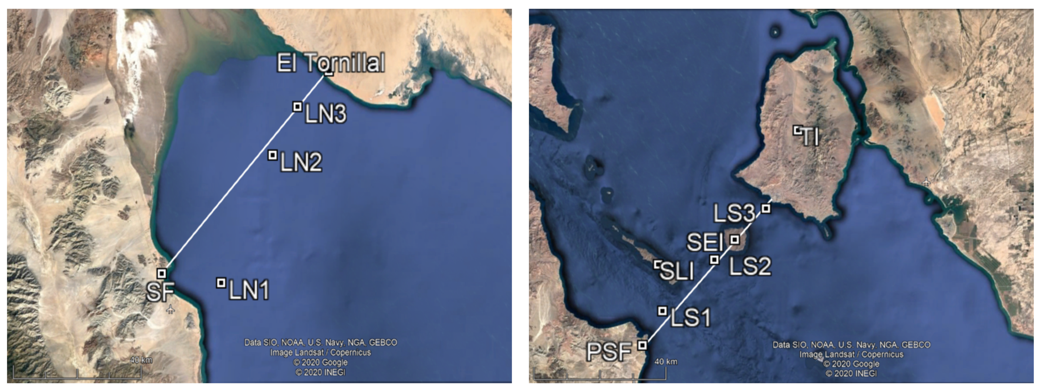 Energies 13 01095 g004